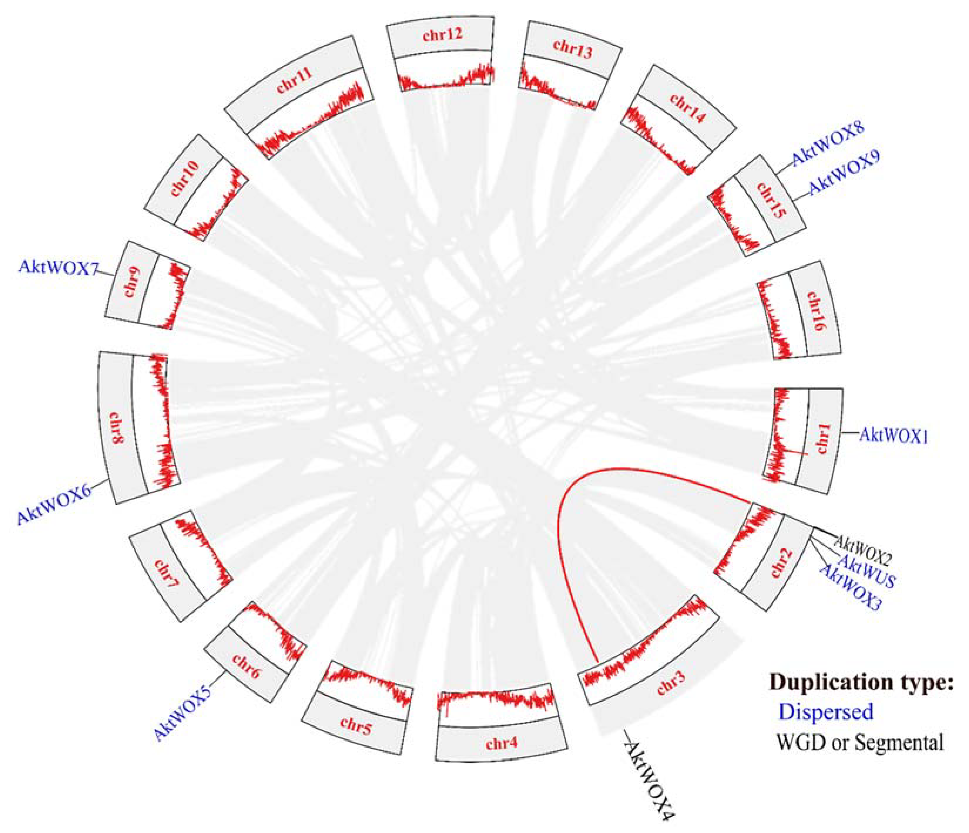 Preprints 89472 g003