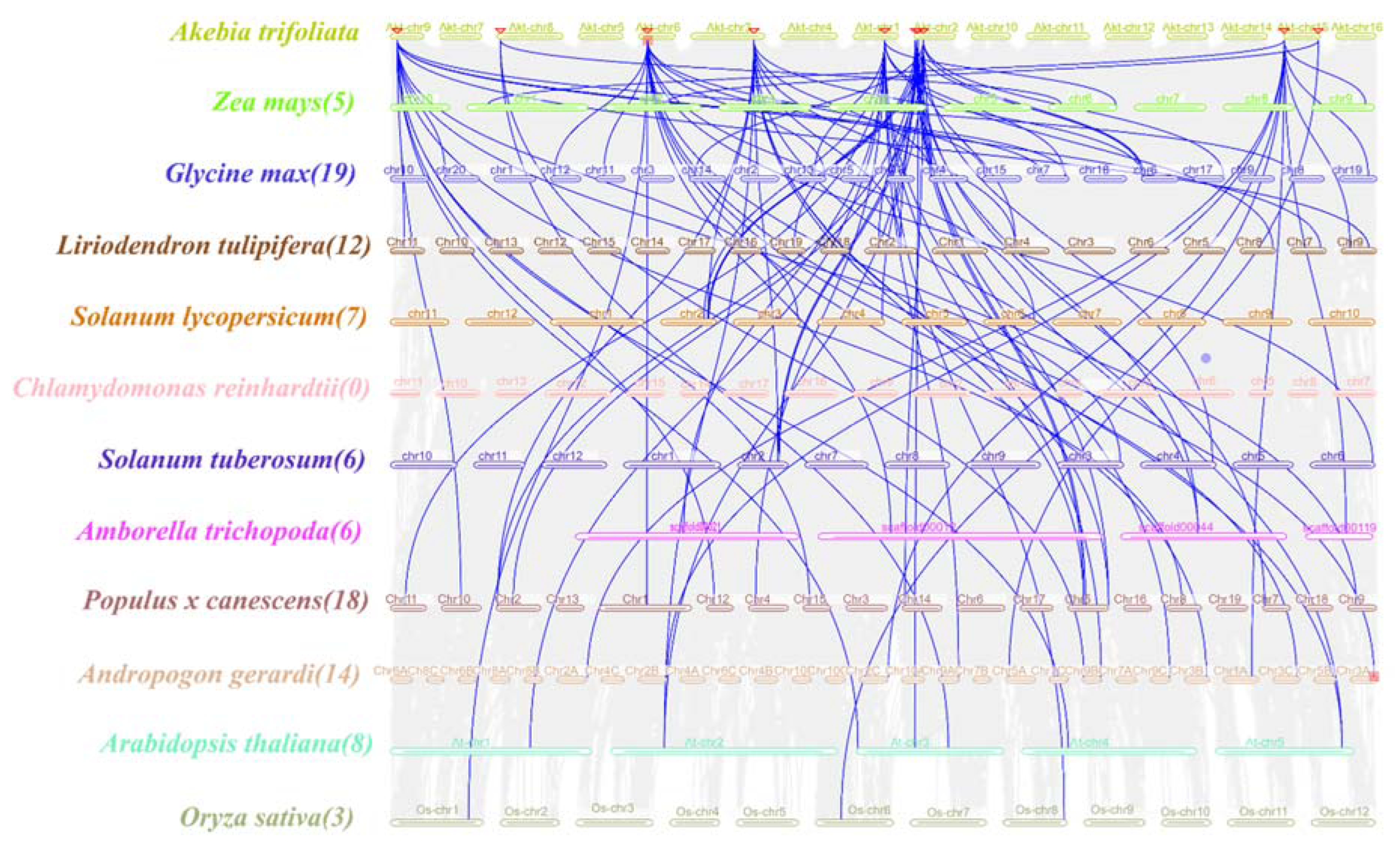 Preprints 89472 g004