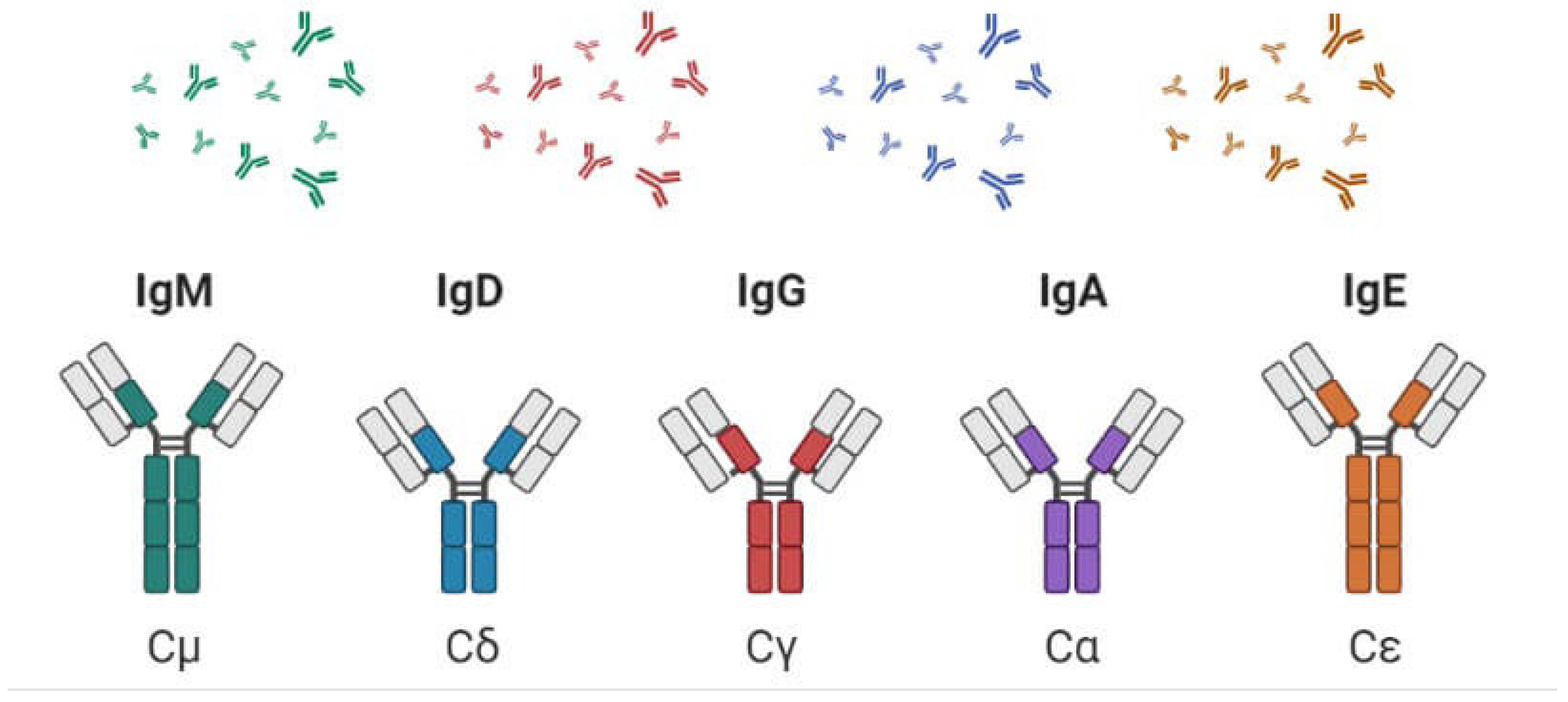 Preprints 120721 g002