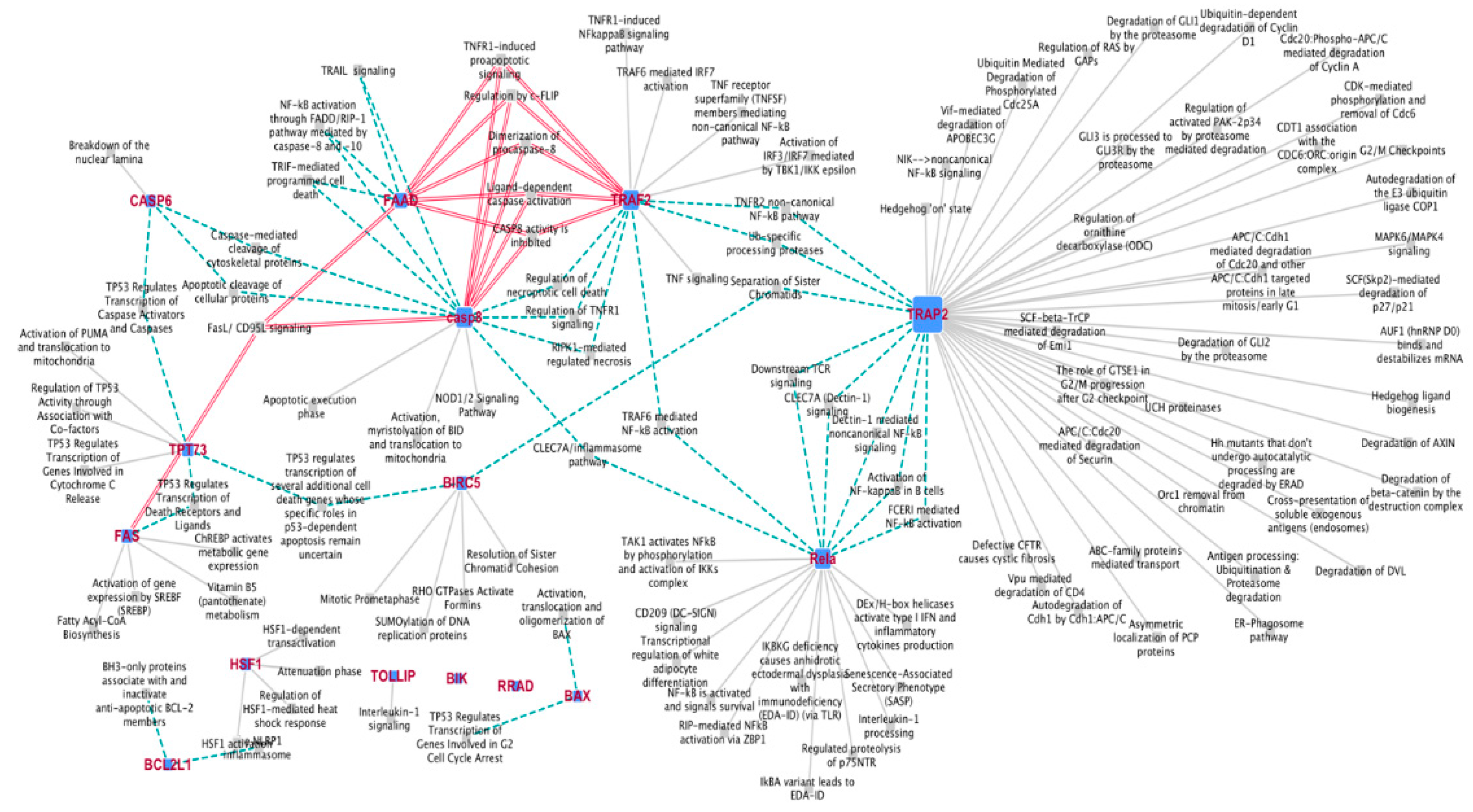 Preprints 104918 g003