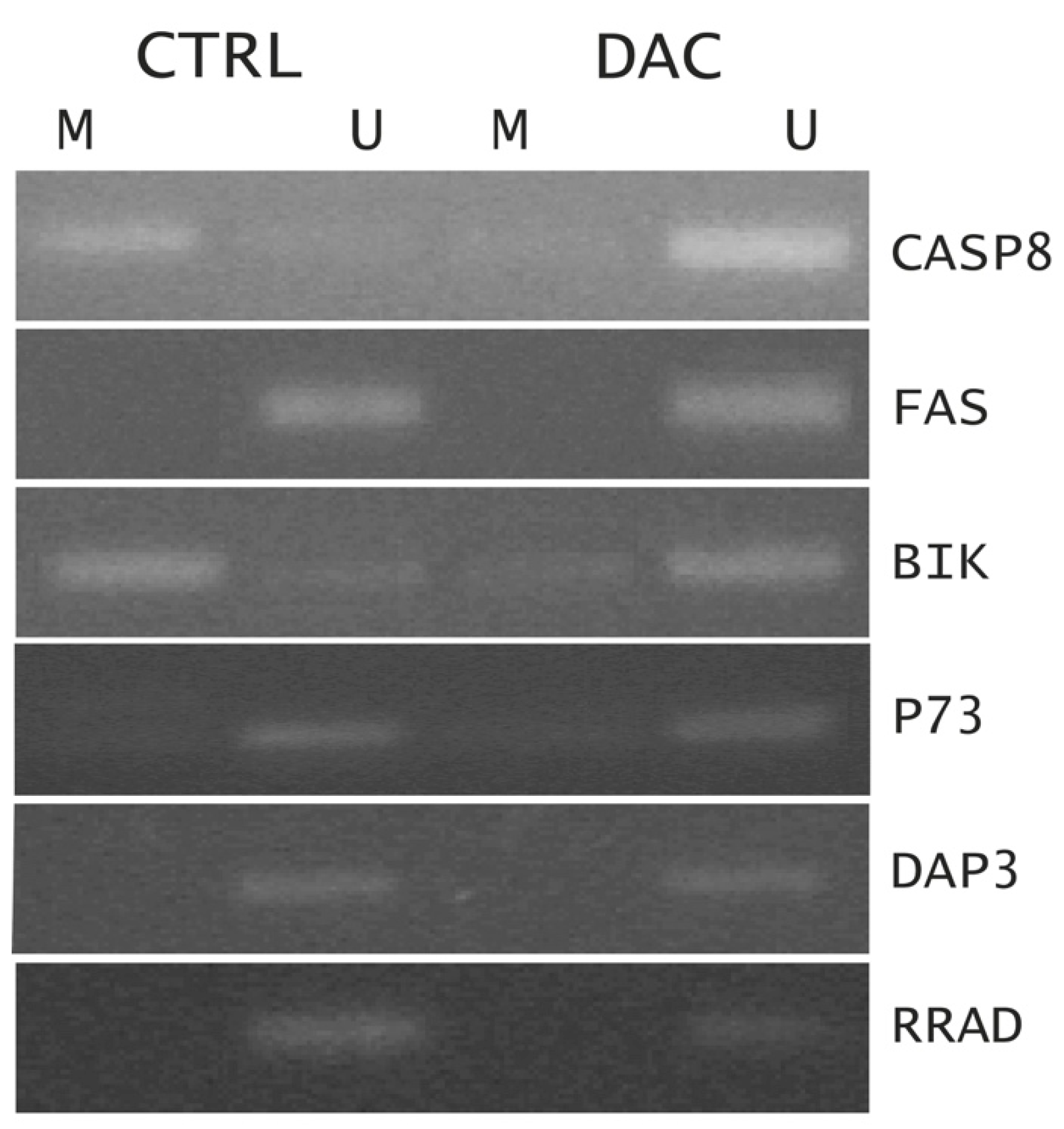 Preprints 104918 g005