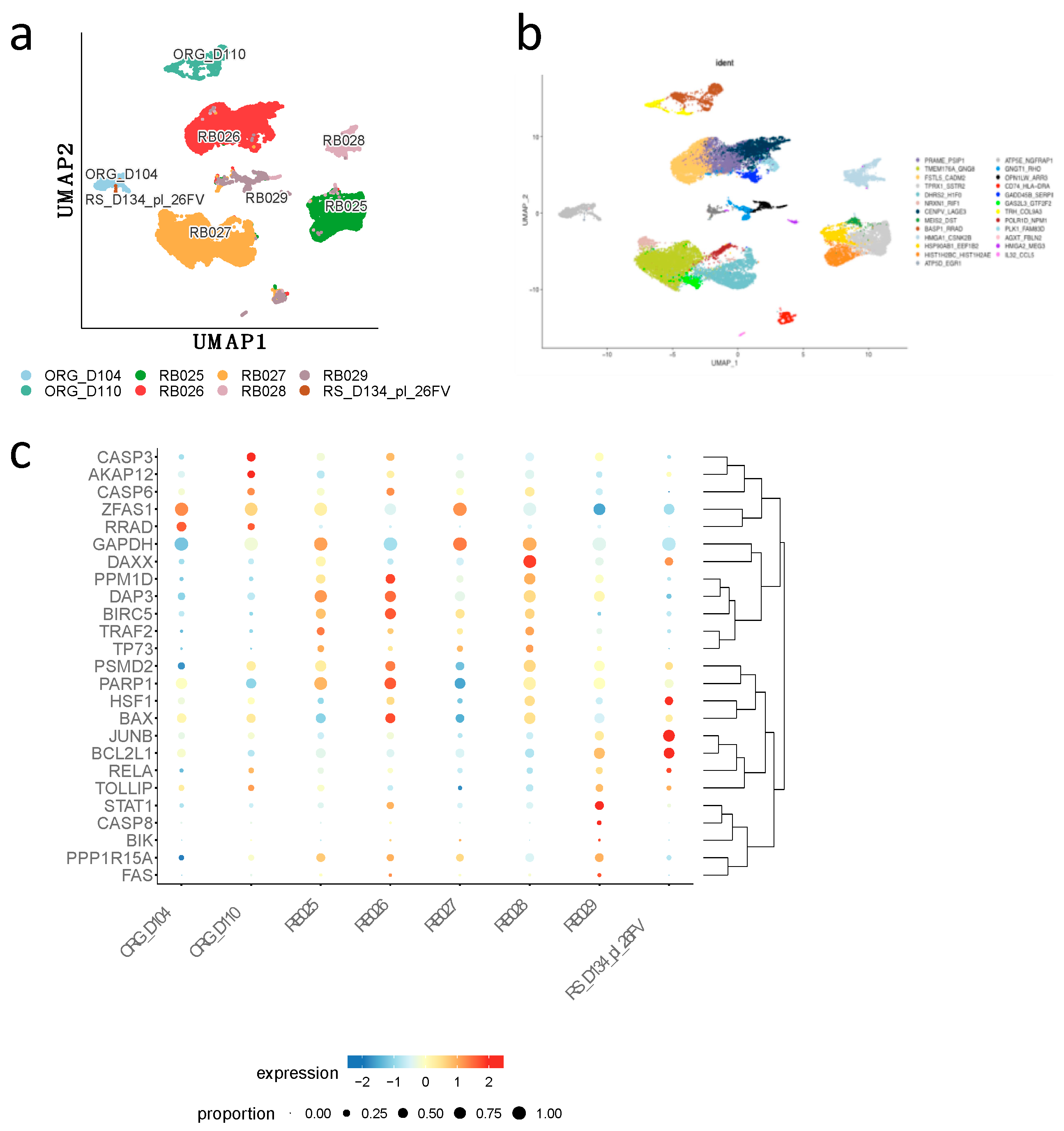 Preprints 104918 g006