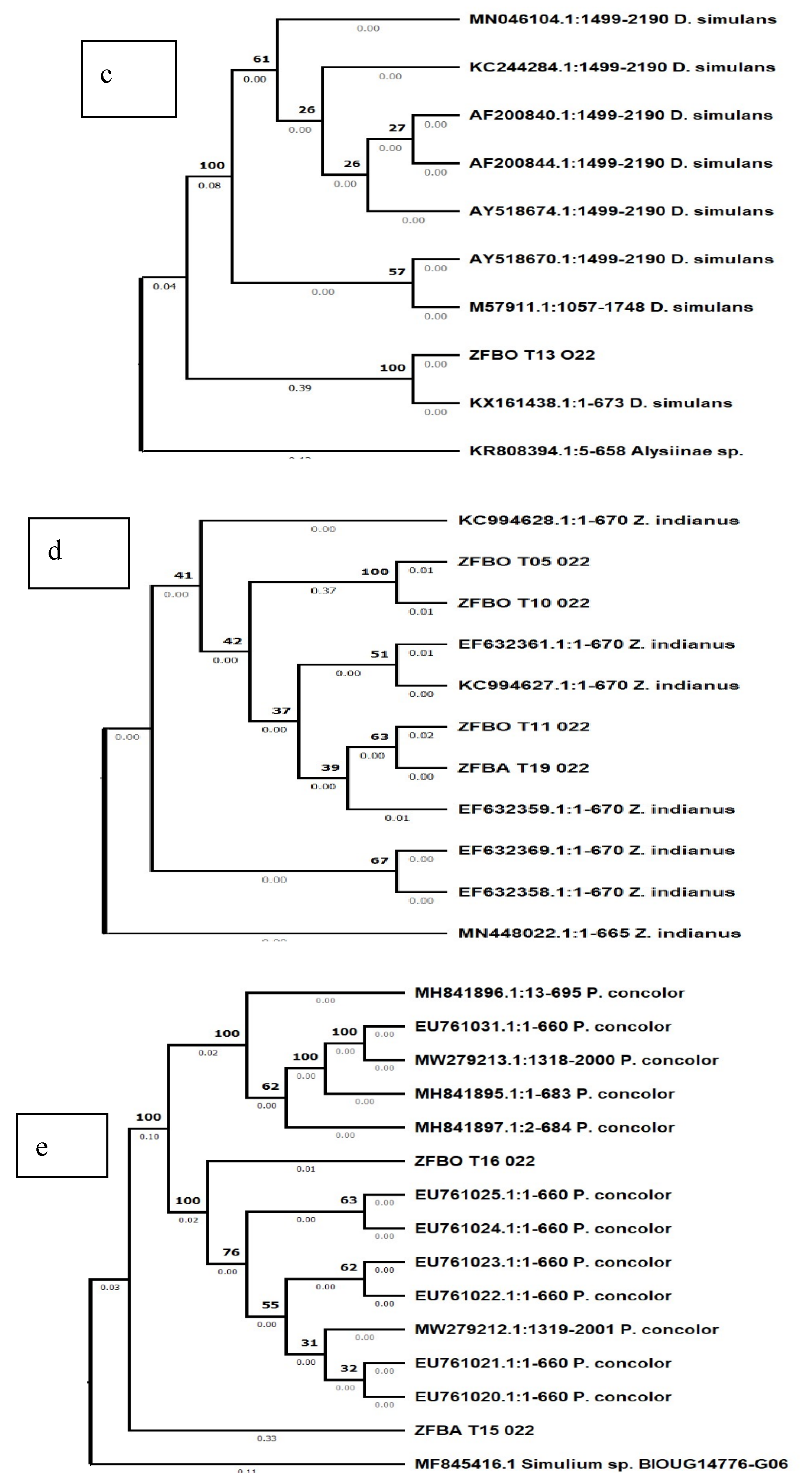 Preprints 122135 g003b