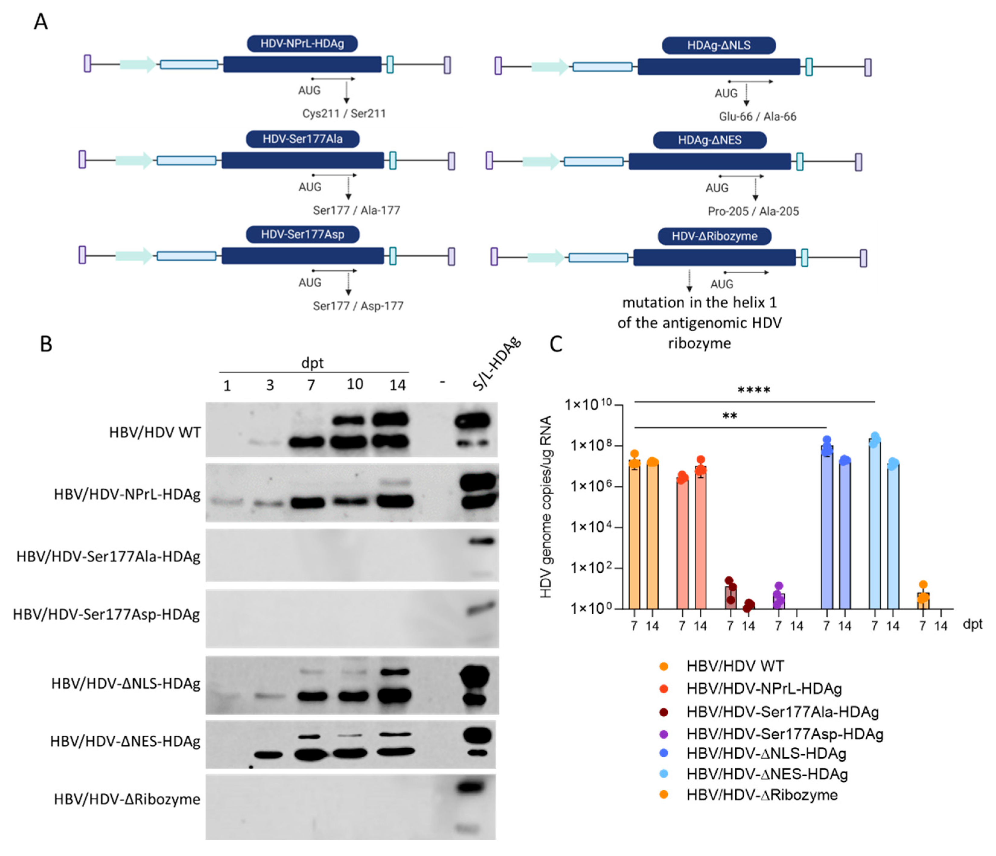 Preprints 96837 g001