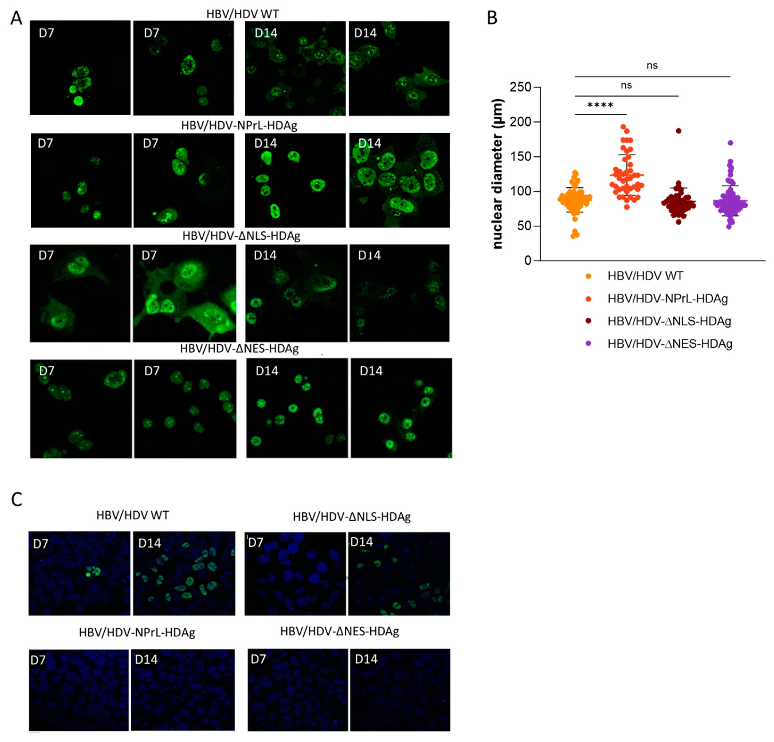 Preprints 96837 g002