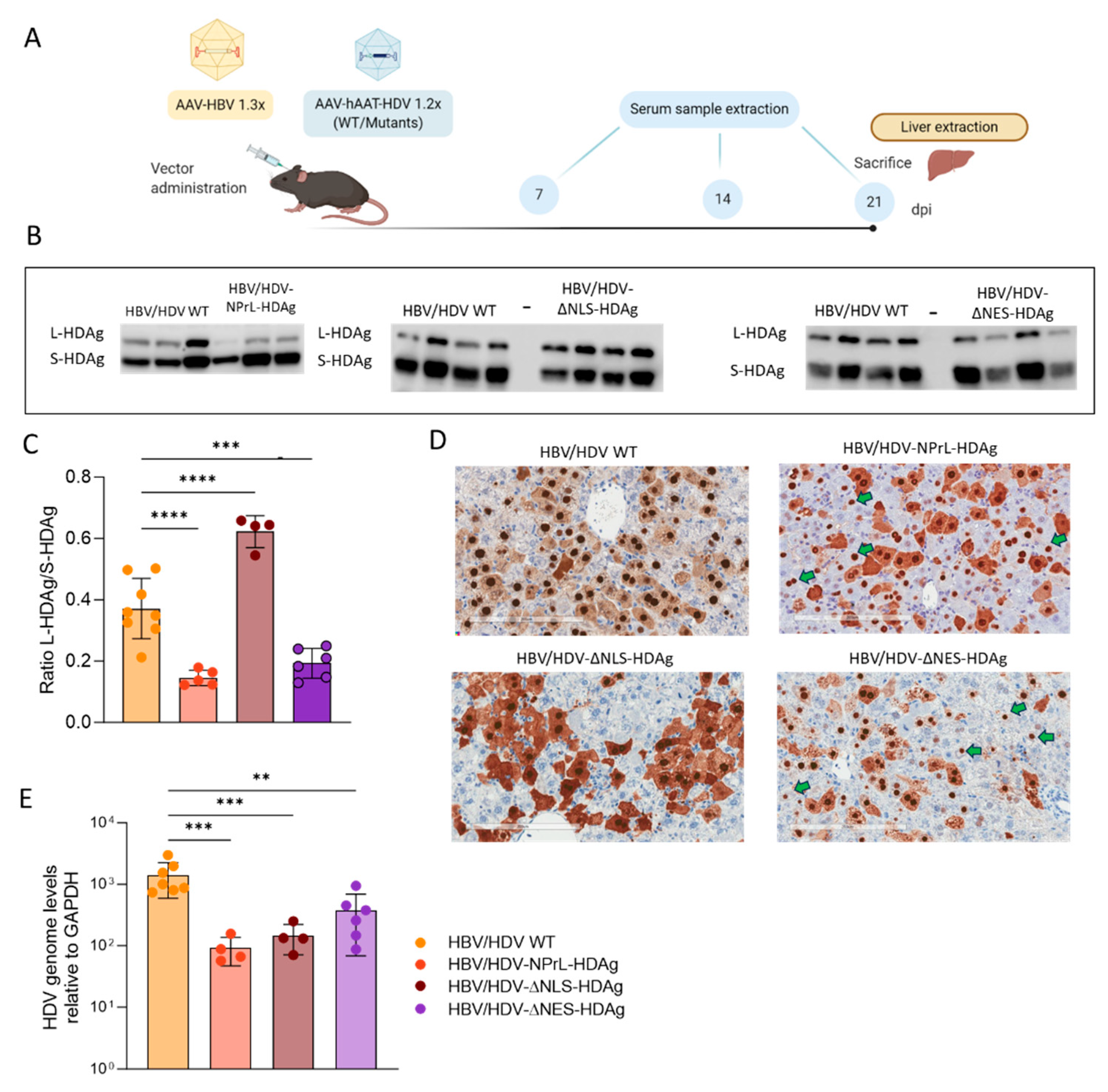 Preprints 96837 g003