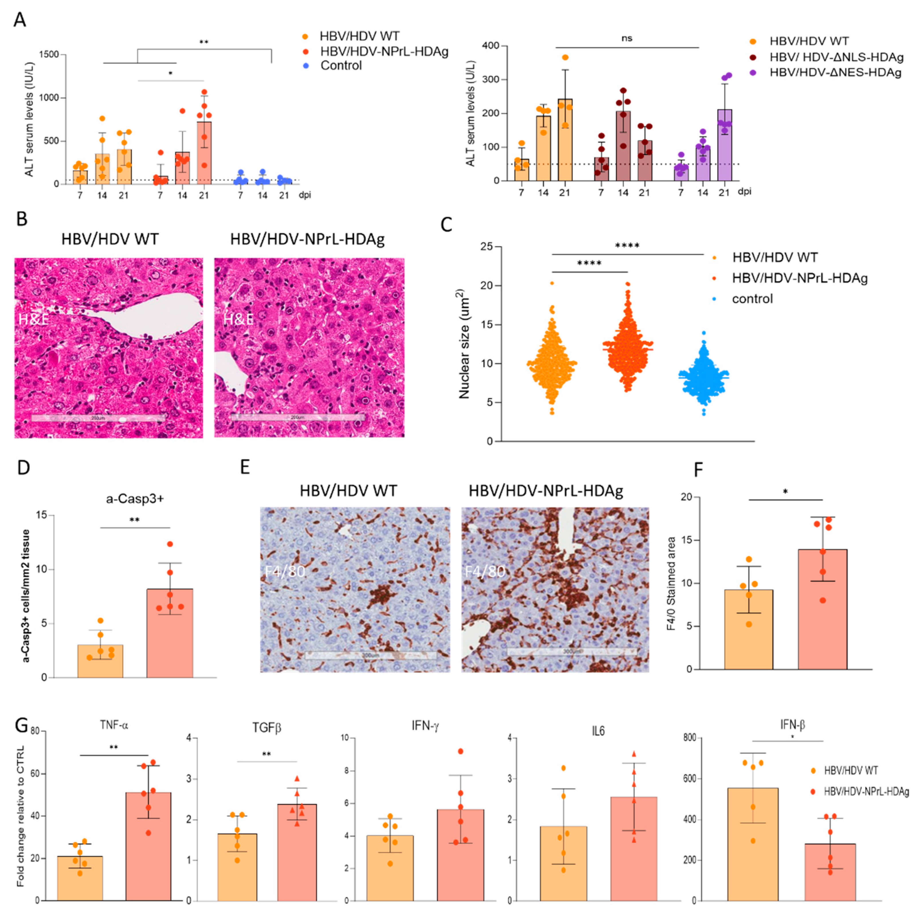 Preprints 96837 g004