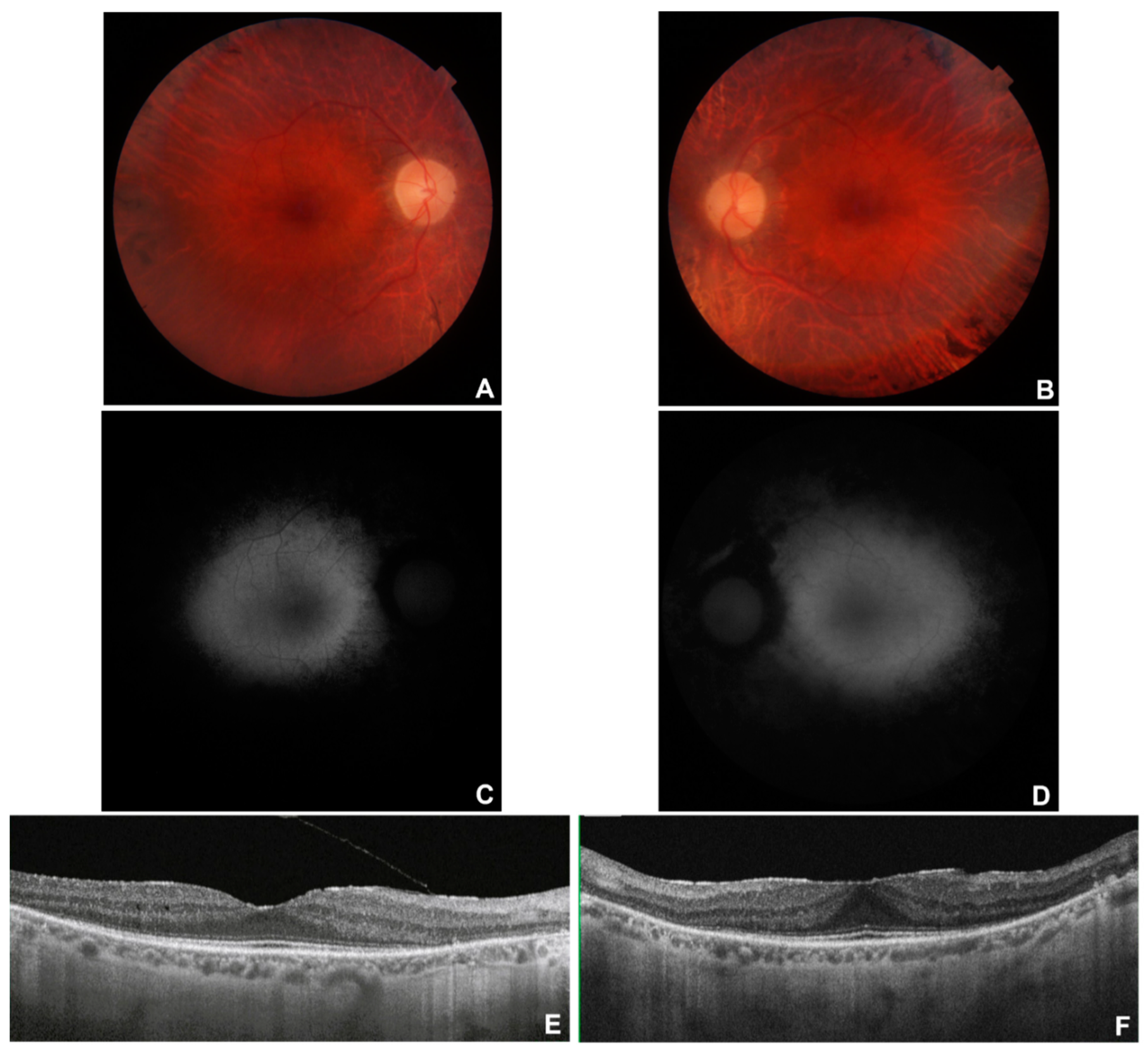 Preprints 86223 g002