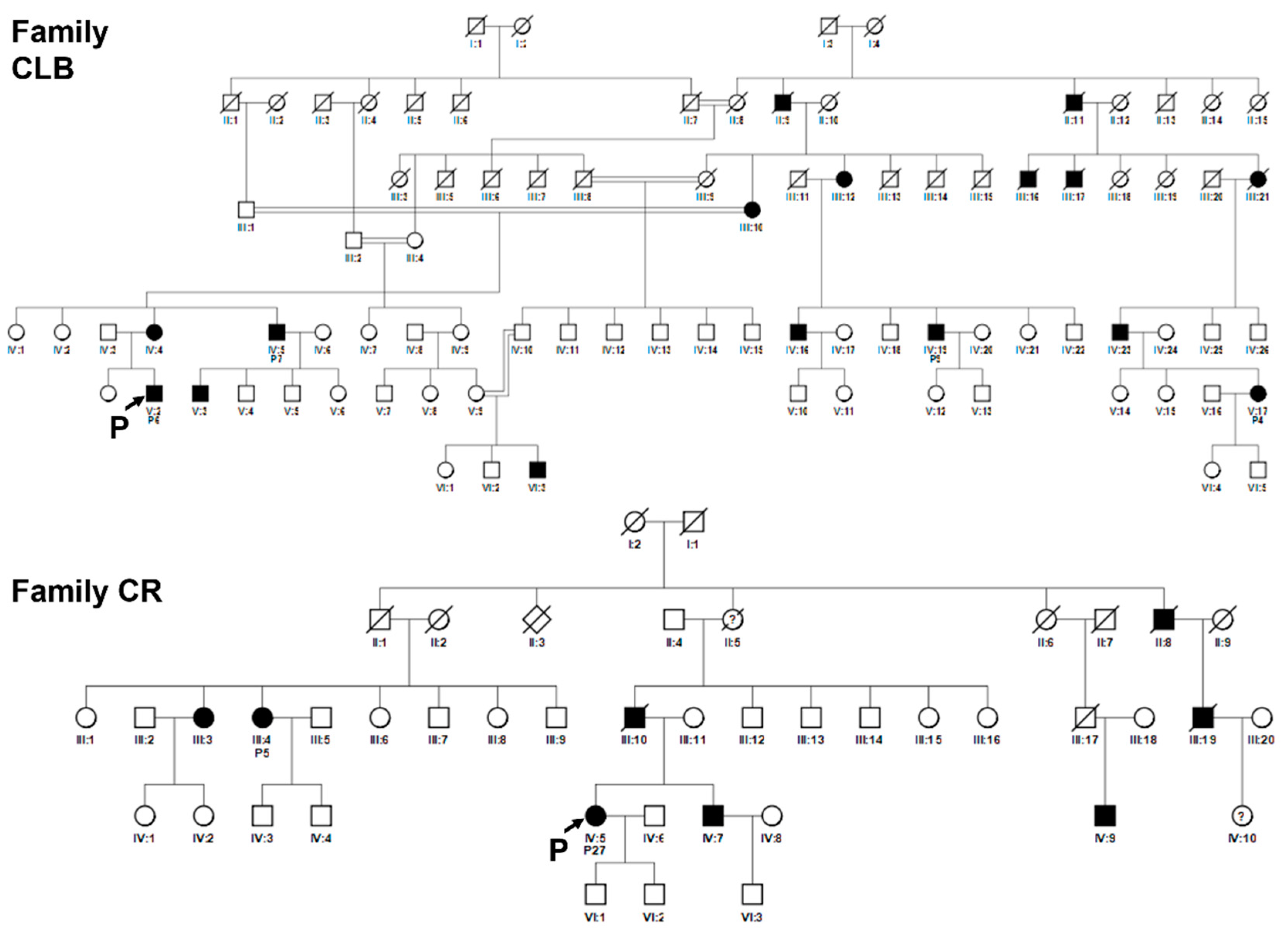 Preprints 86223 g006