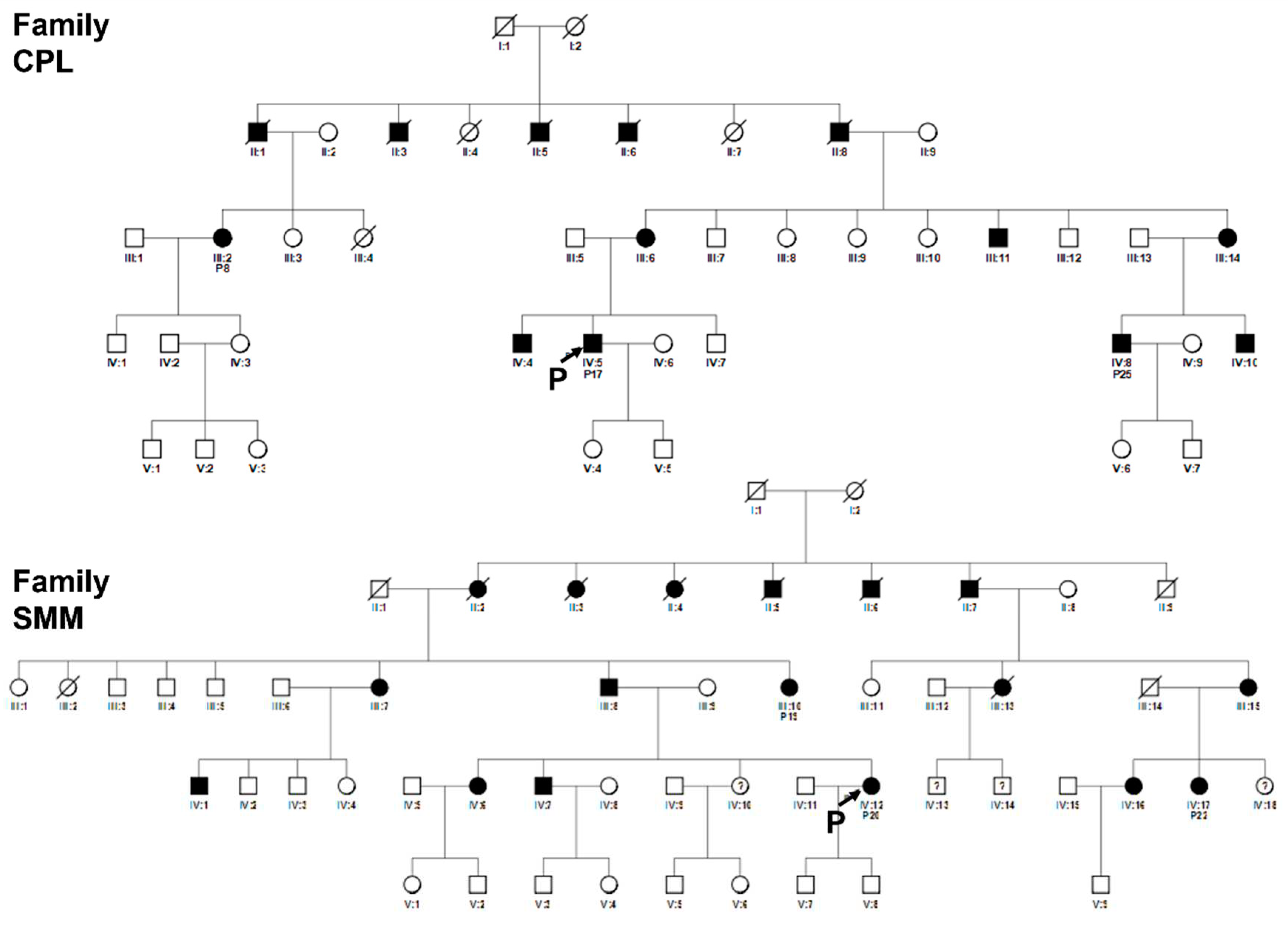 Preprints 86223 g007