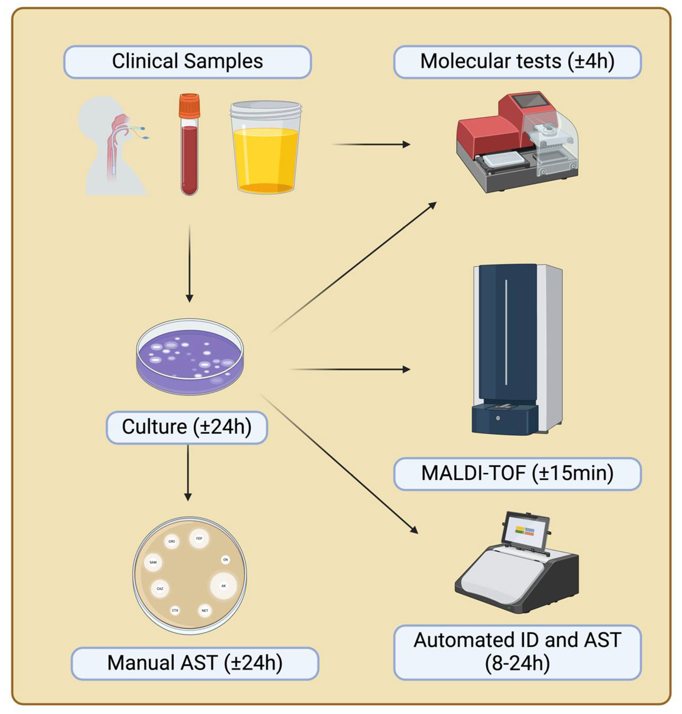 Preprints 113166 g001