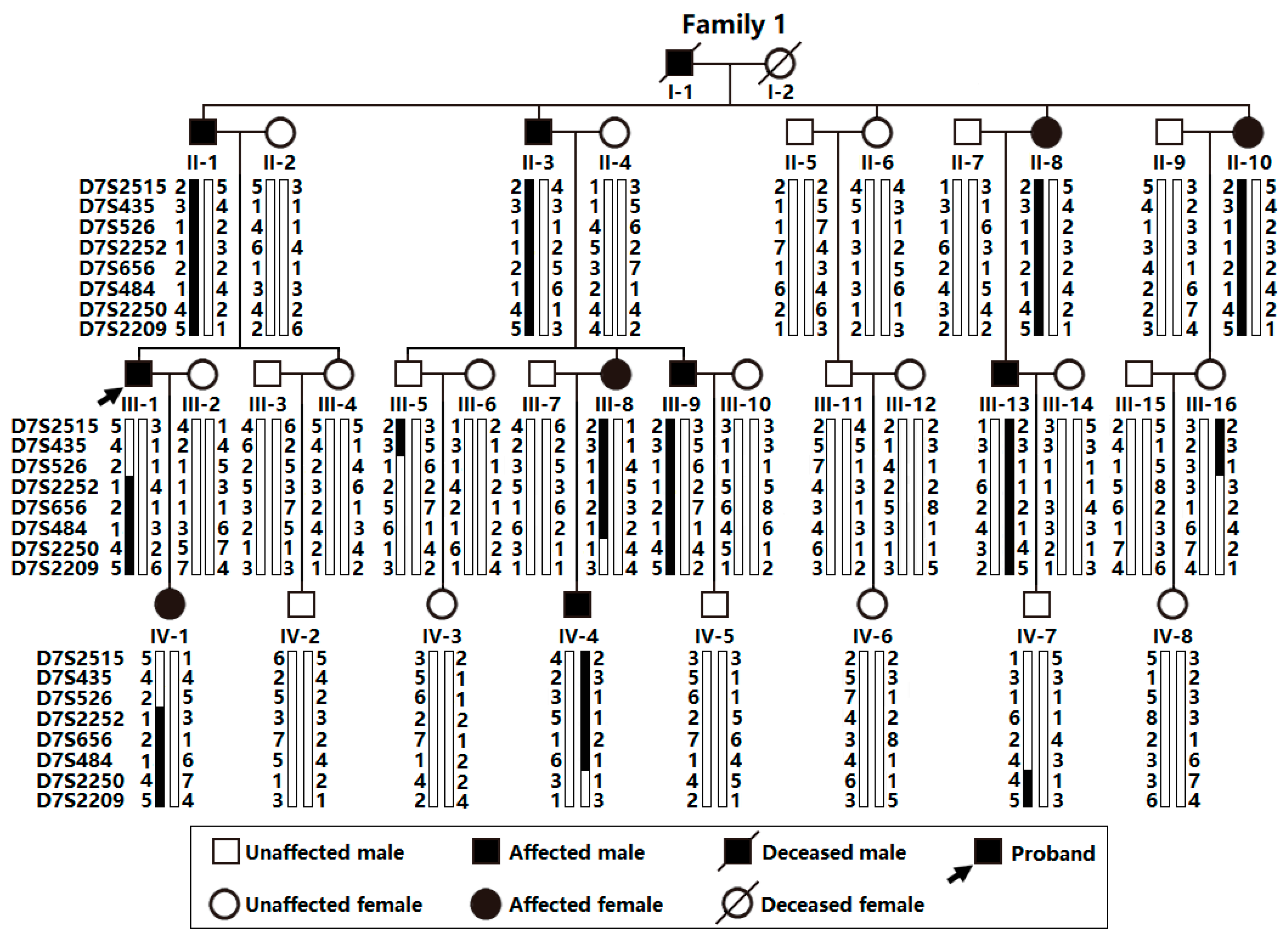 Preprints 78817 g001