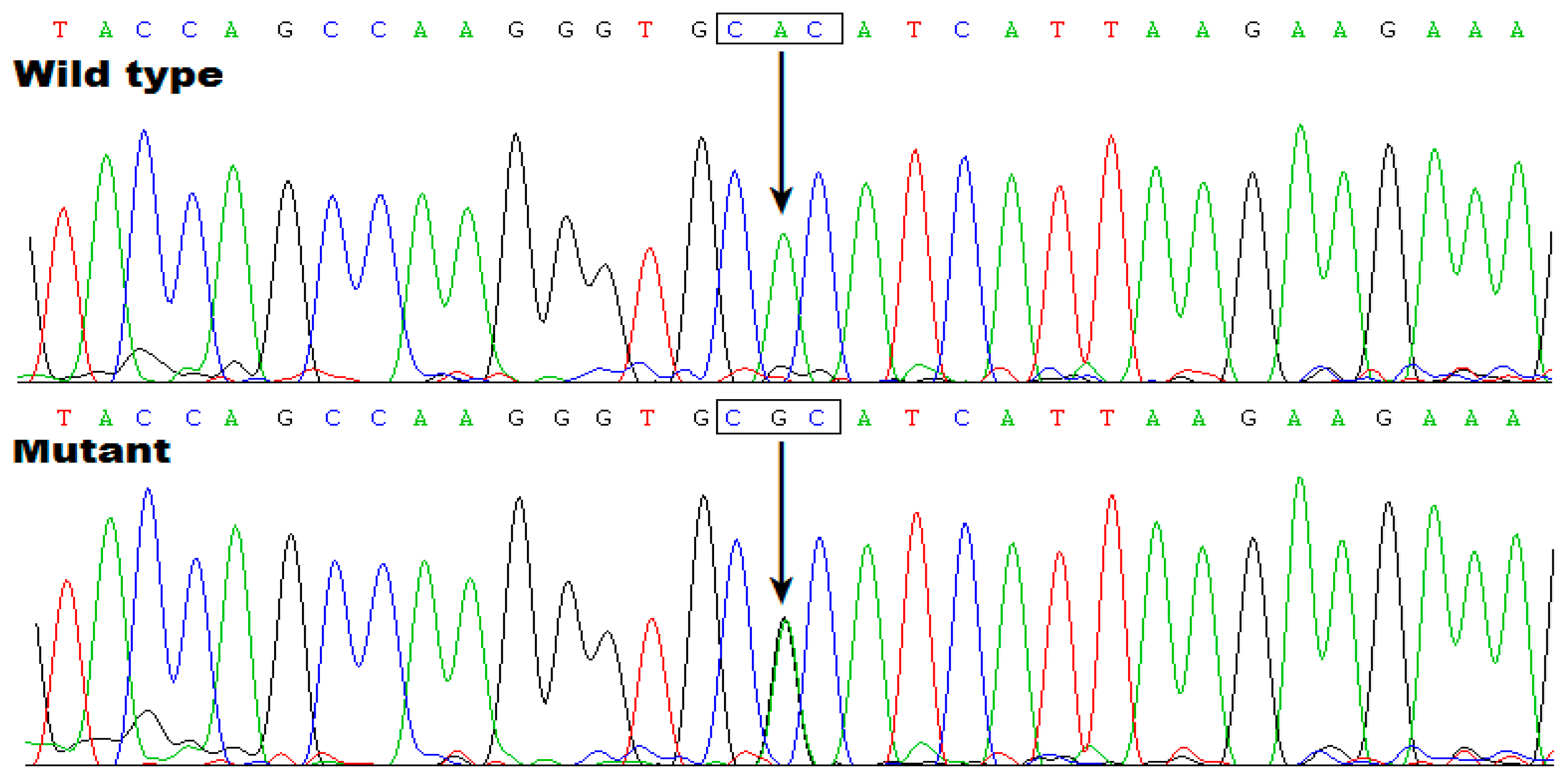 Preprints 78817 g005