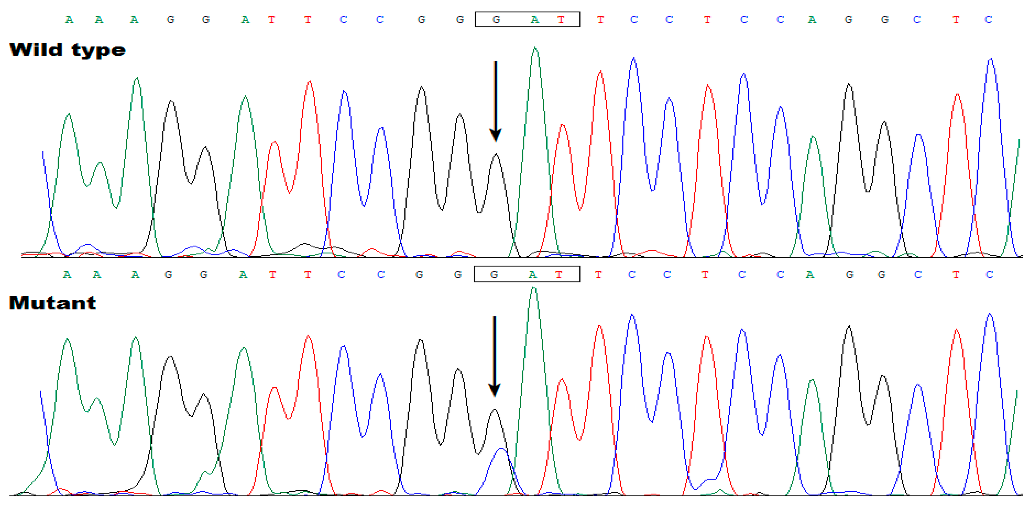 Preprints 78817 g006