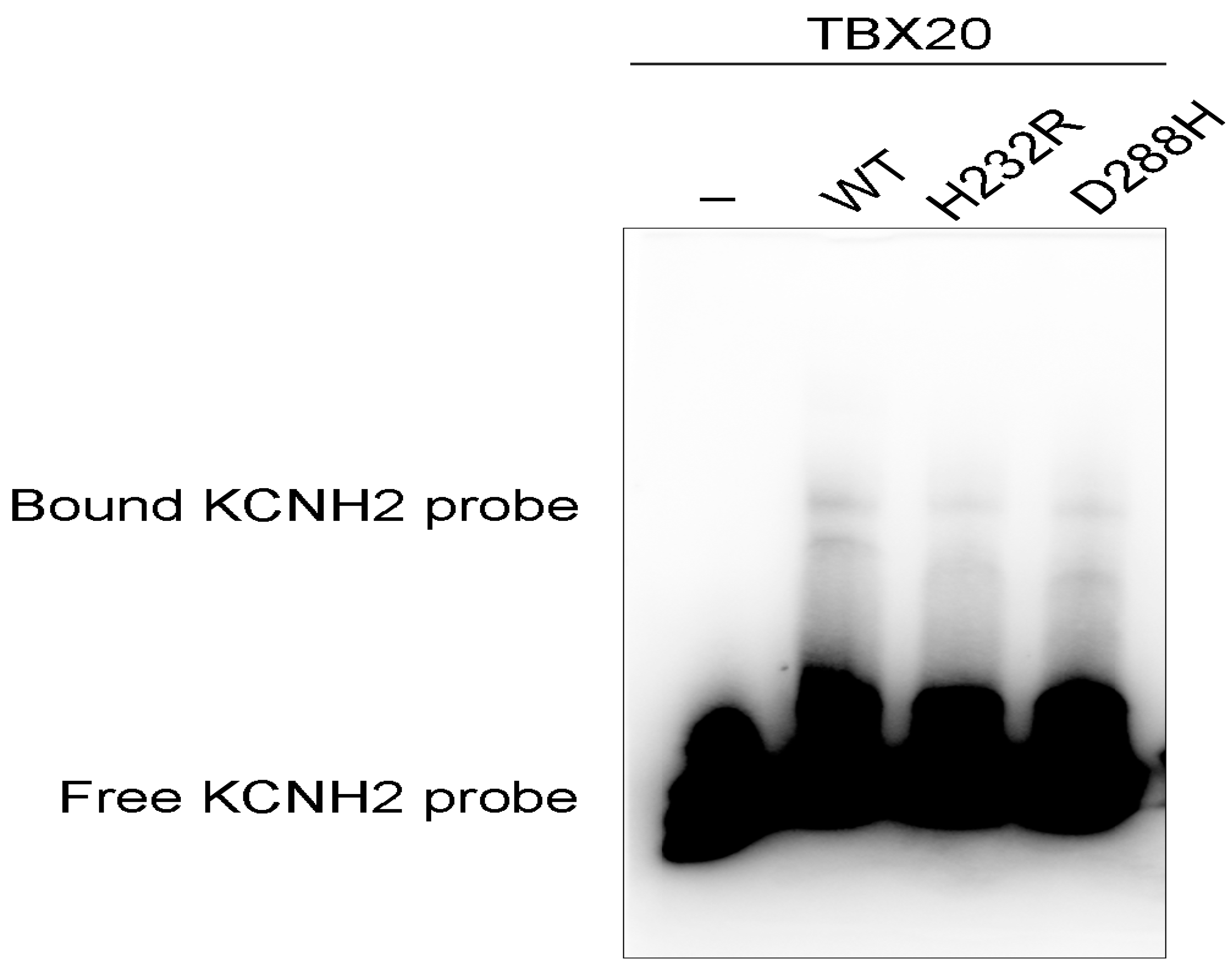 Preprints 78817 g008