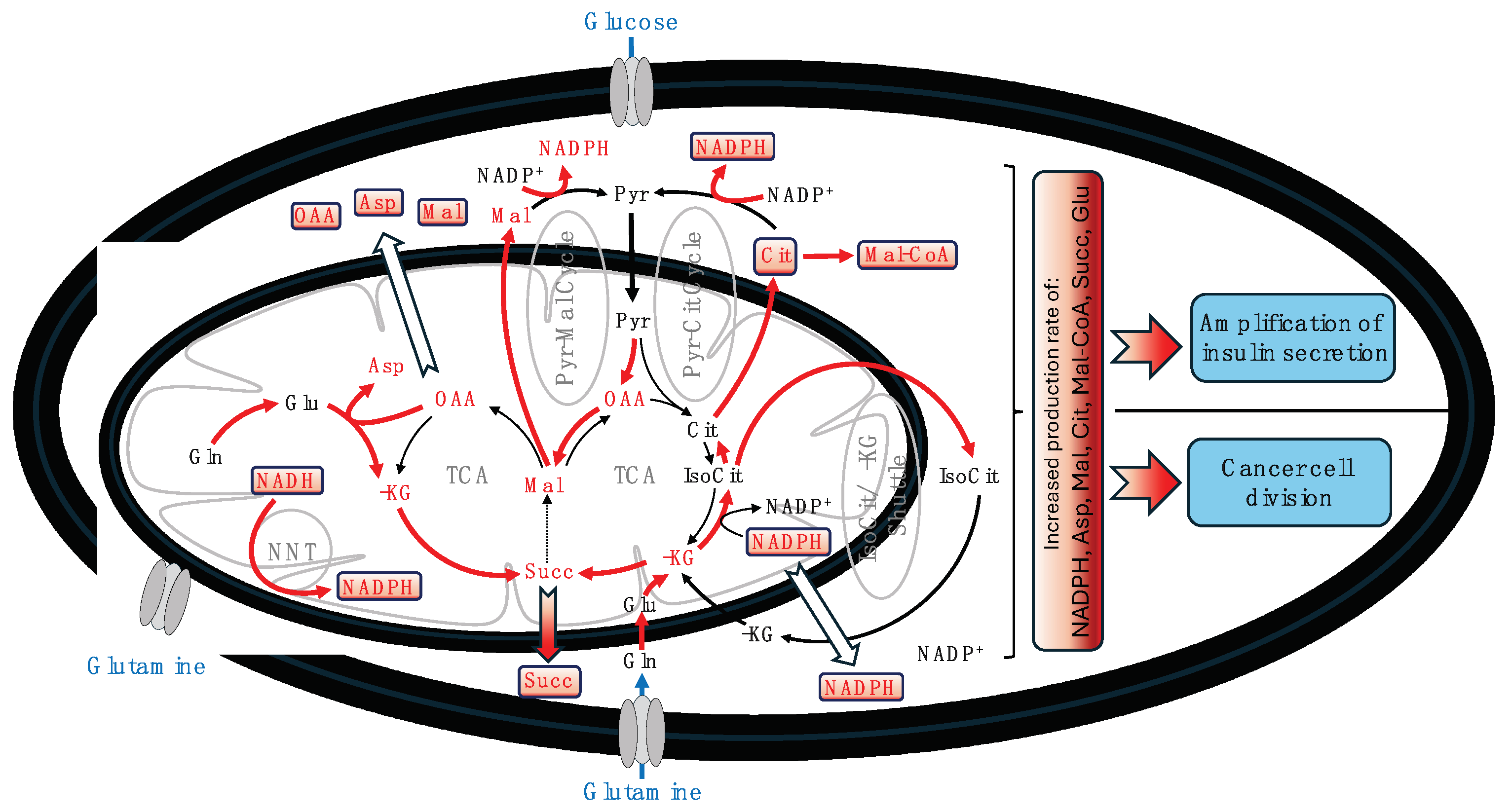 Preprints 99623 g001