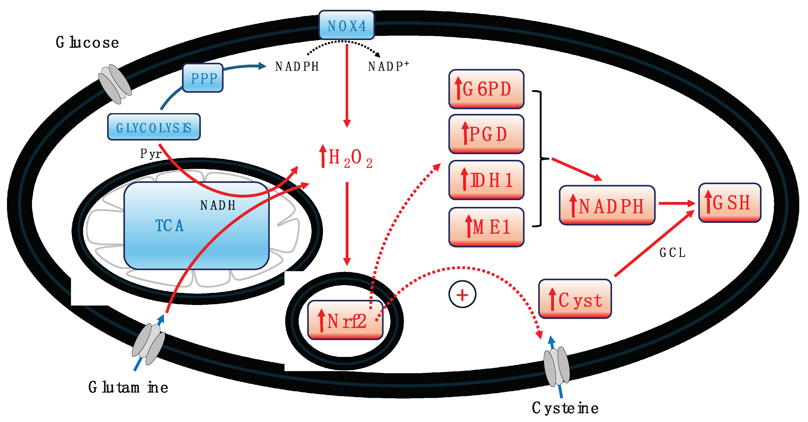 Preprints 99623 g002