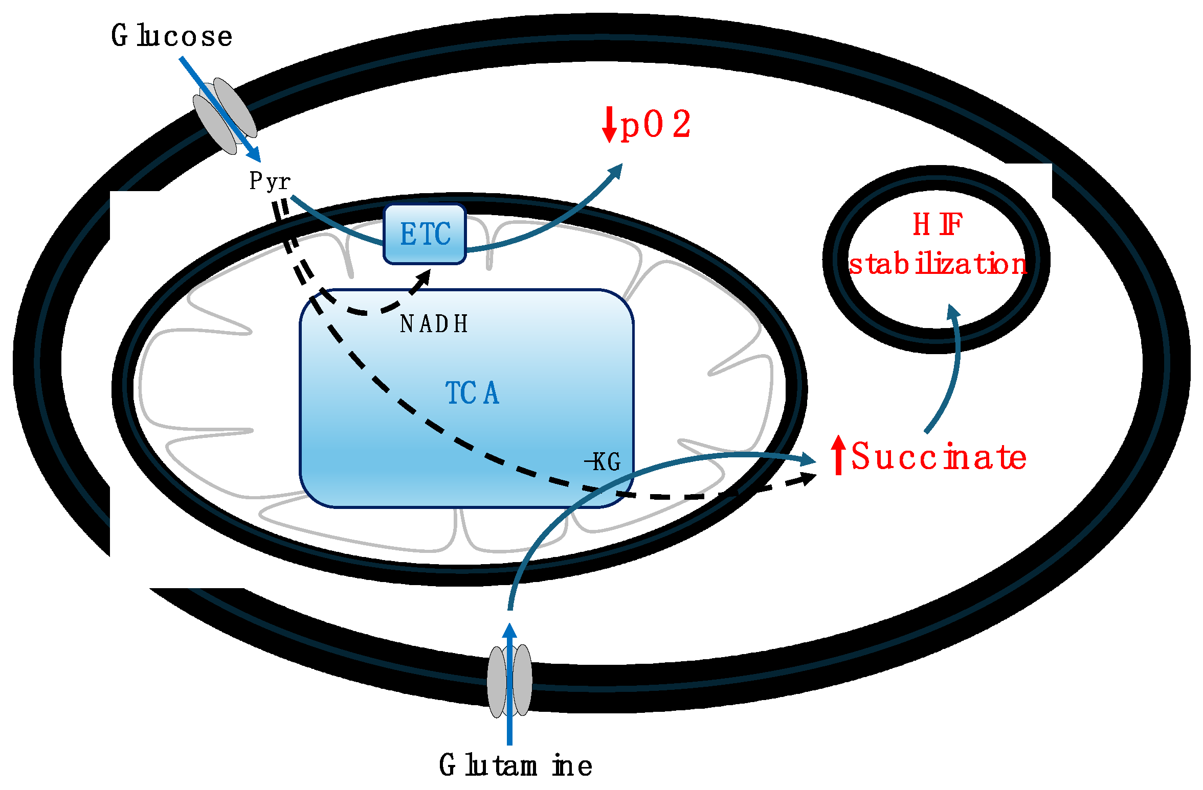 Preprints 99623 g004