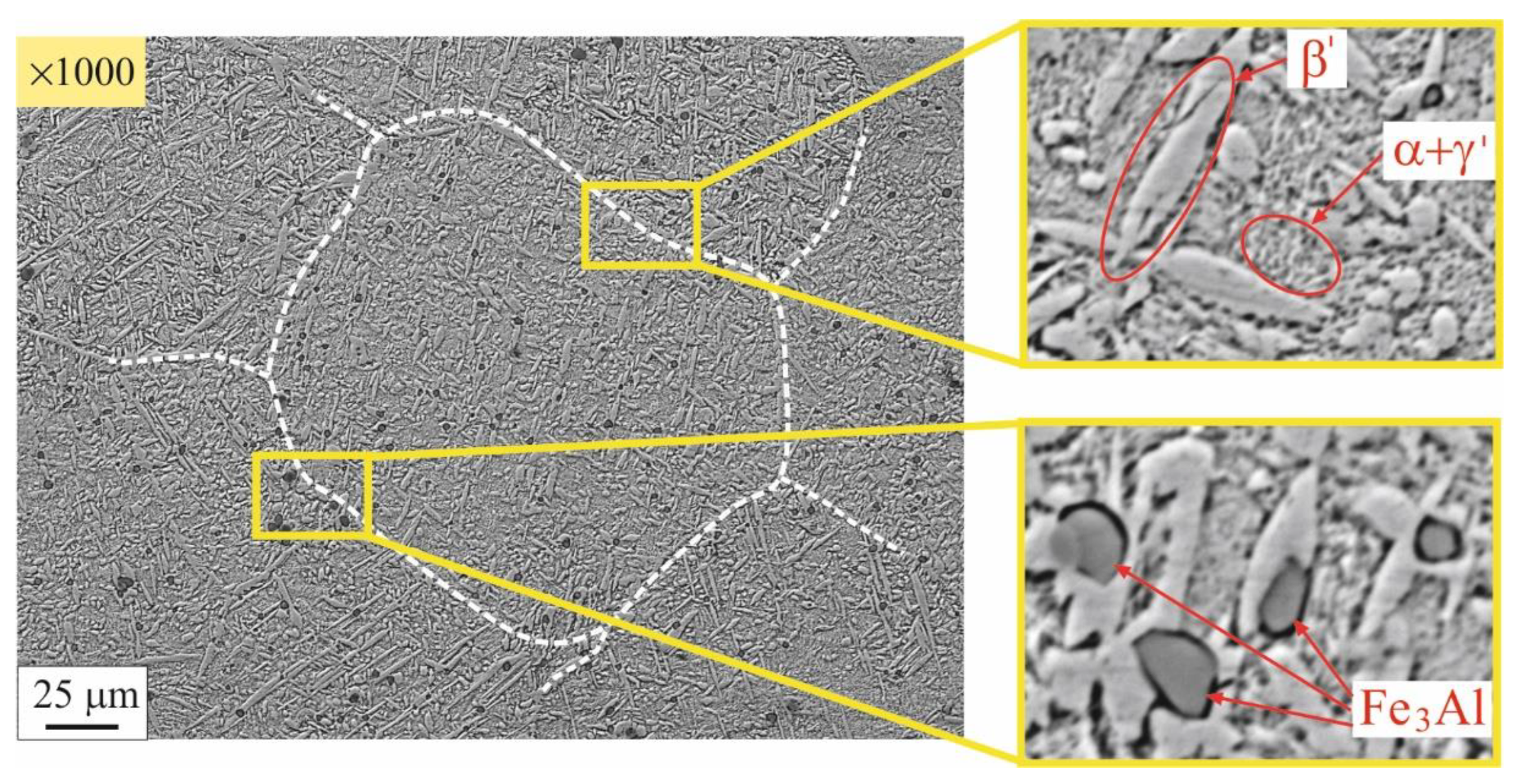 Preprints 89392 g011