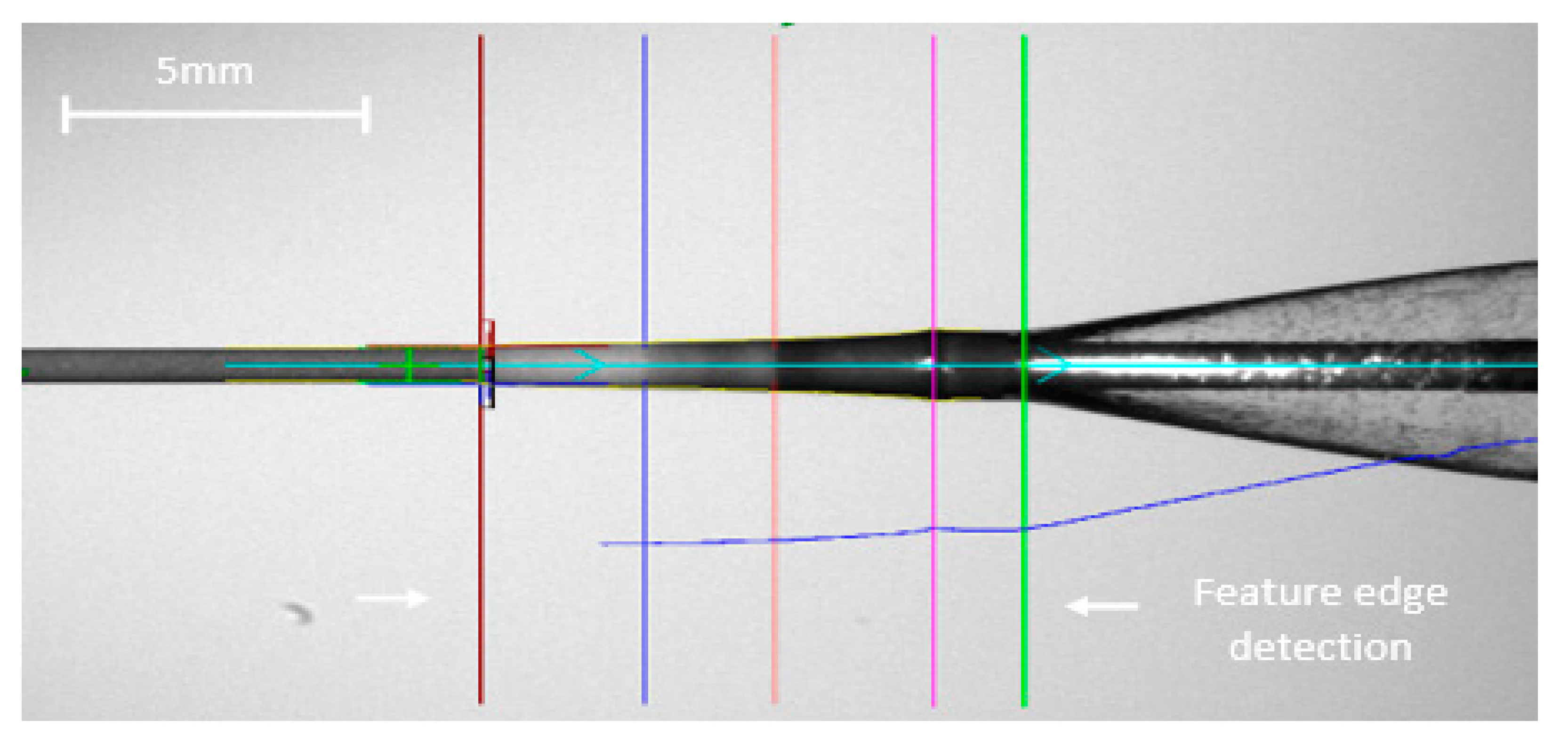 Preprints 110448 g007