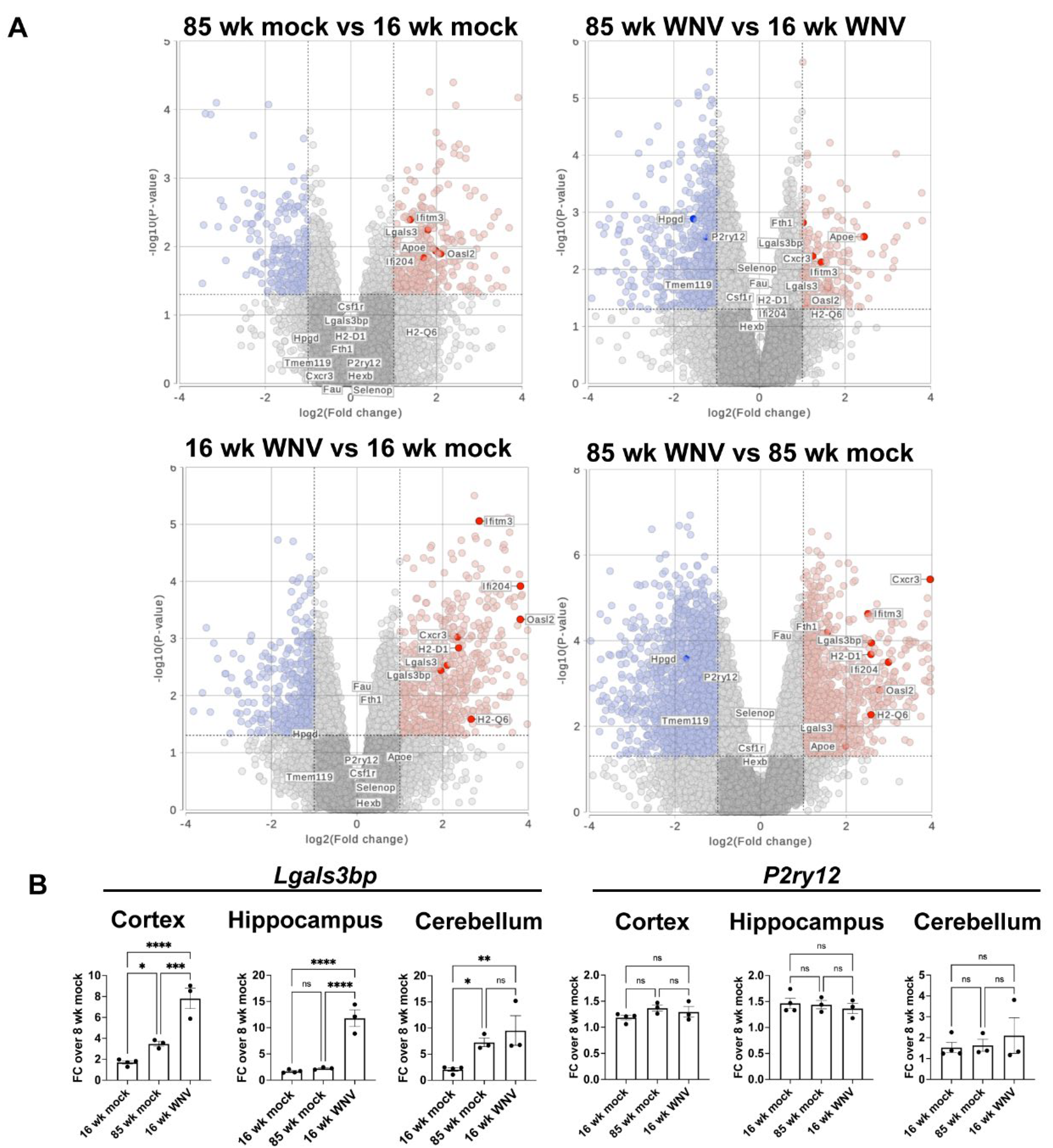 Preprints 107836 g001