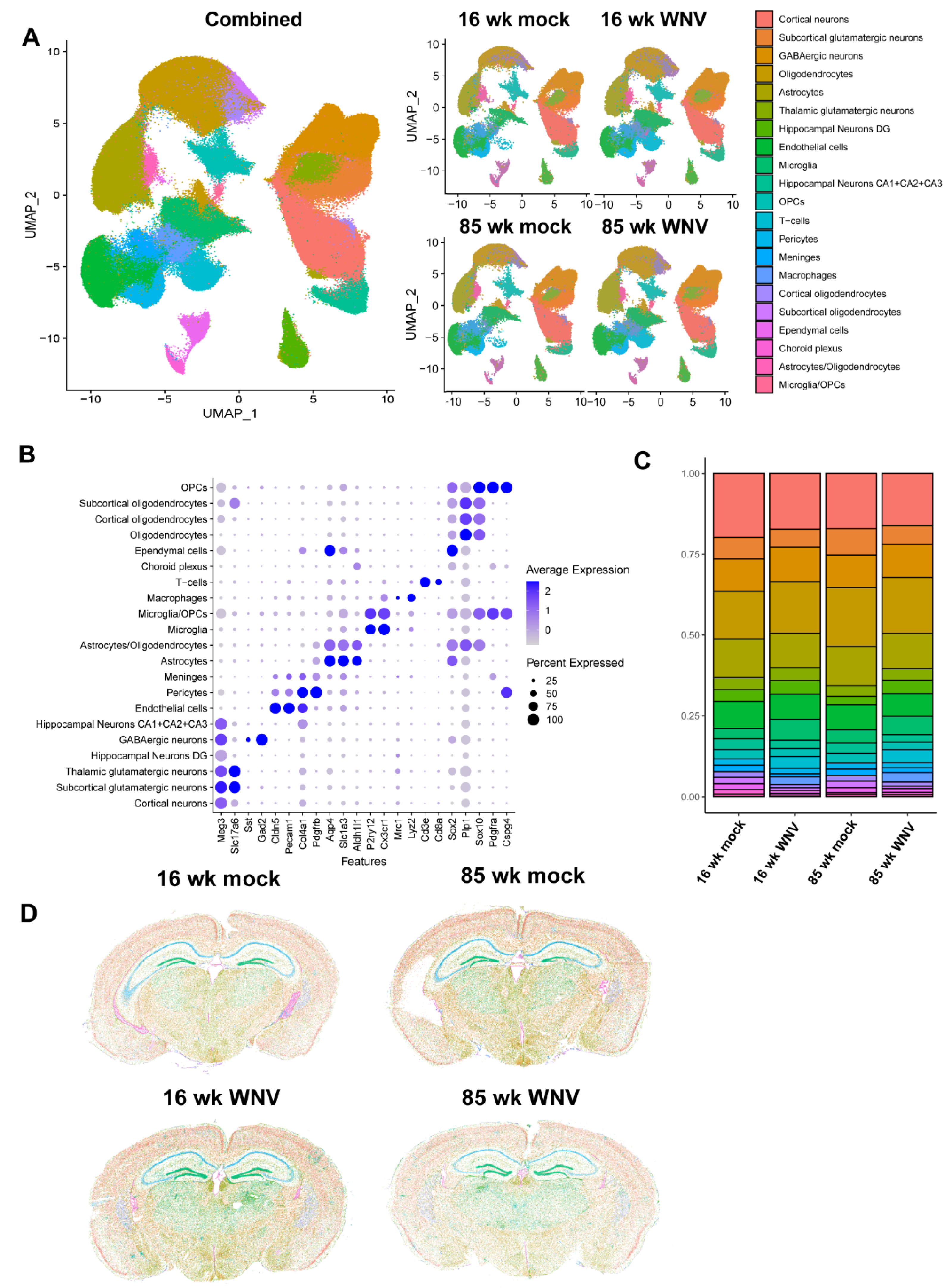 Preprints 107836 g002