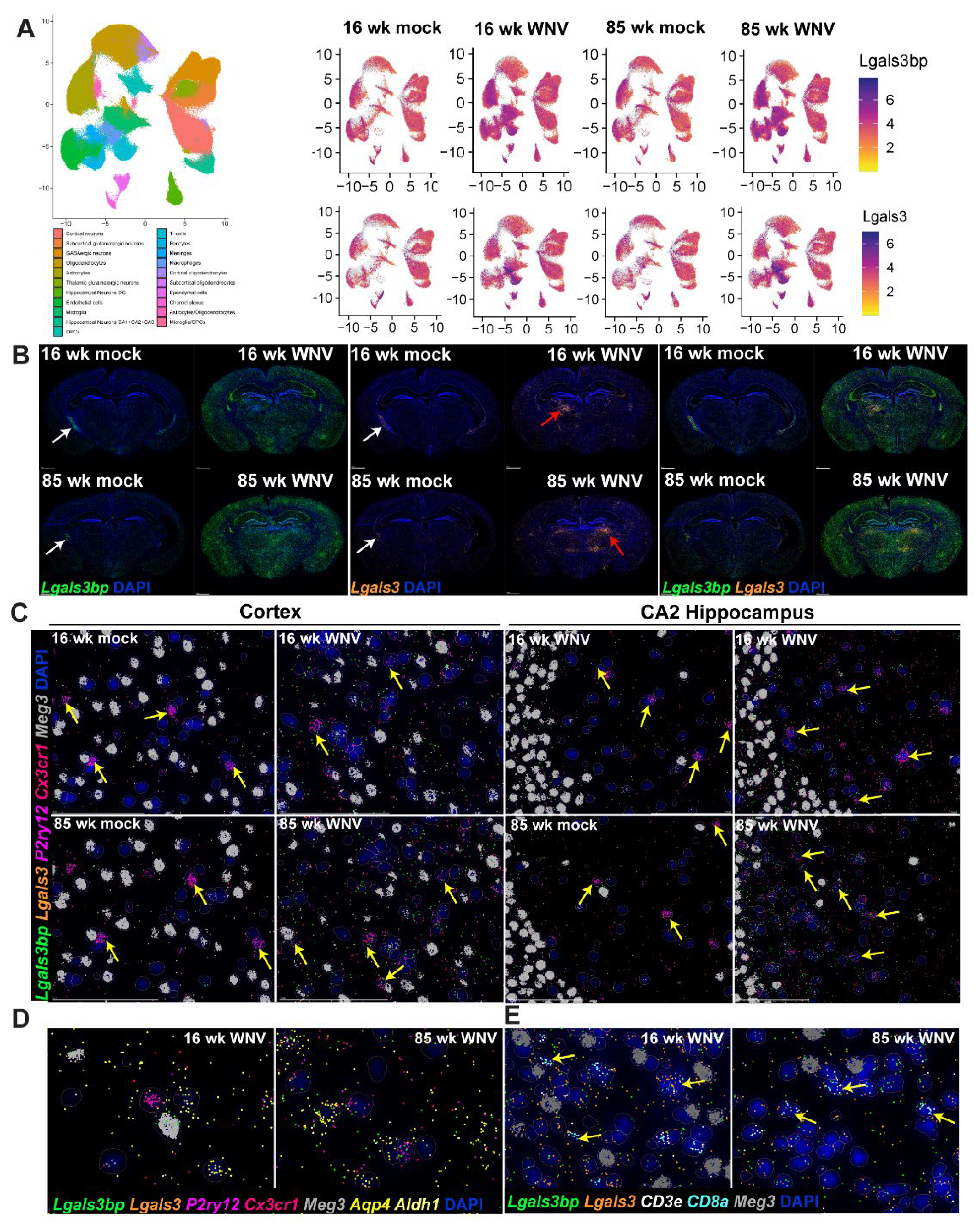 Preprints 107836 g003