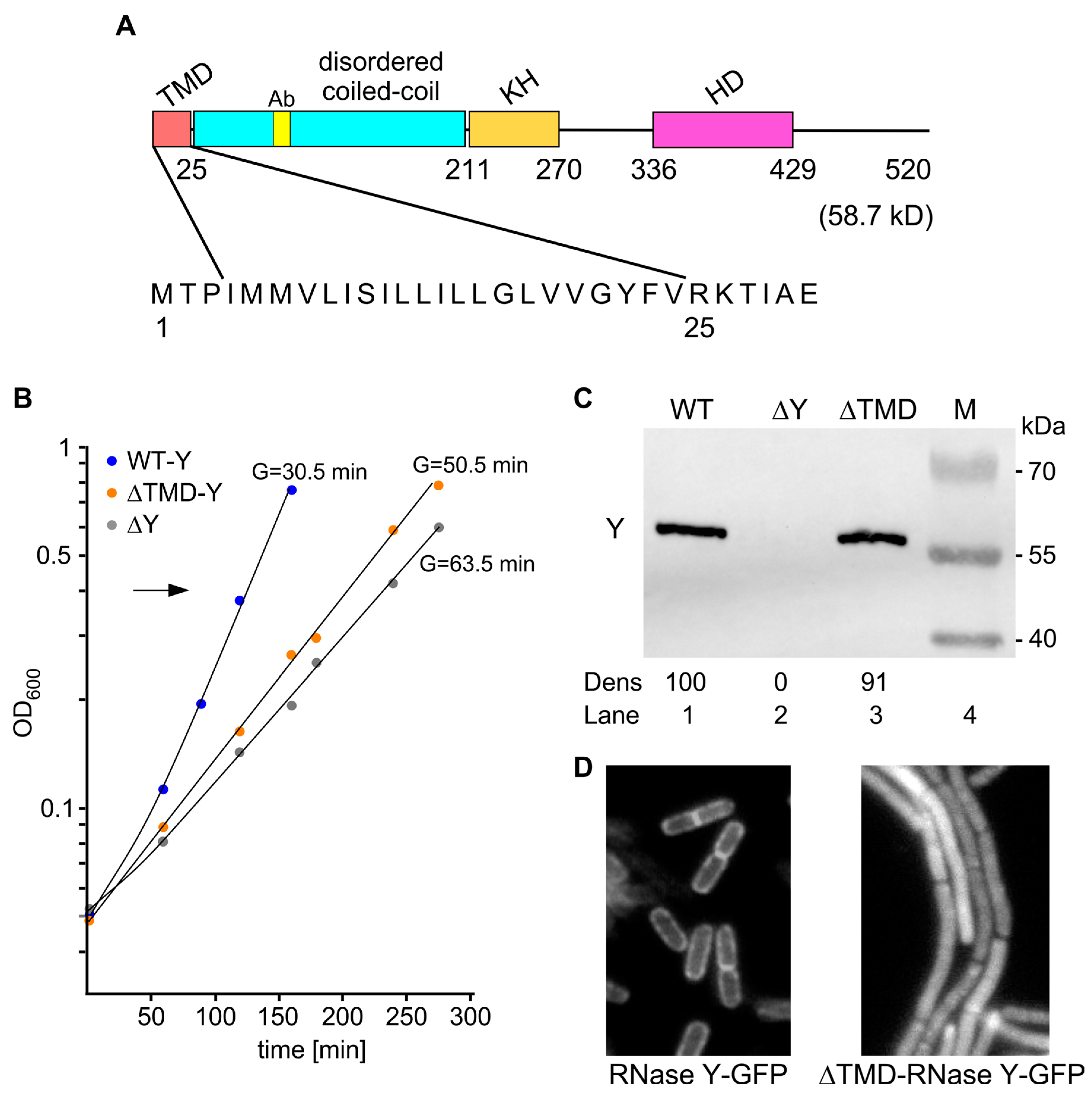 Preprints 111585 g001