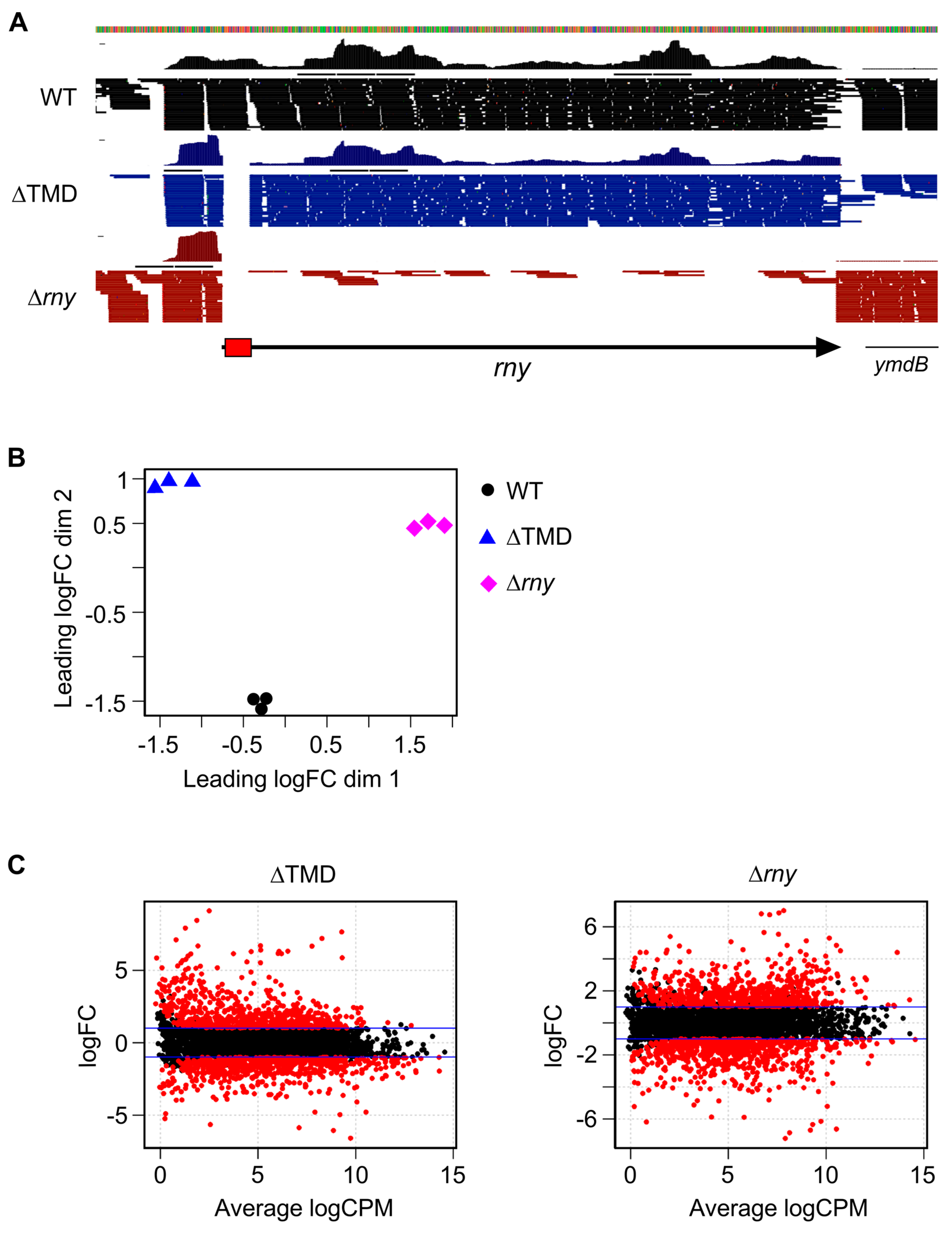 Preprints 111585 g002