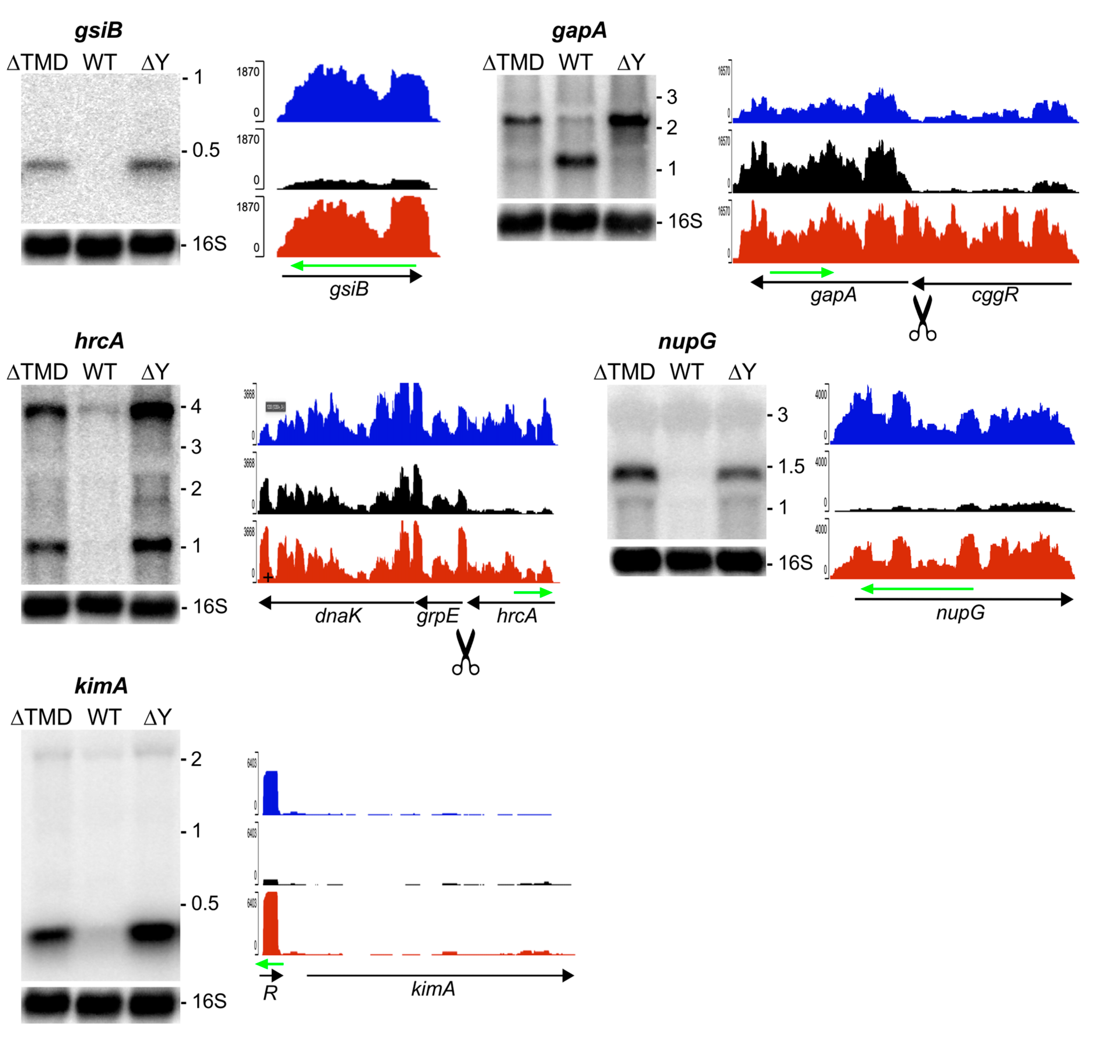 Preprints 111585 g003