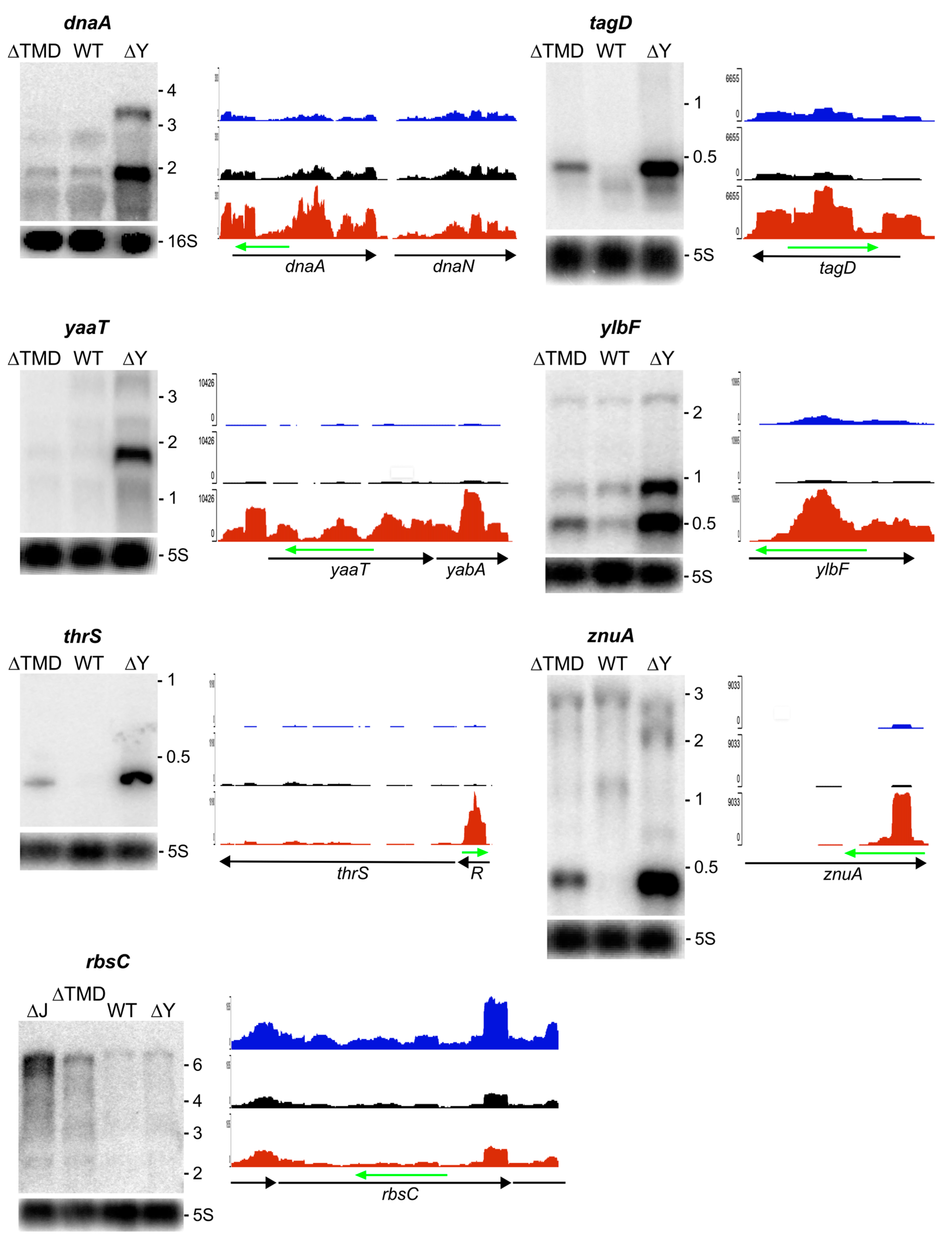 Preprints 111585 g004