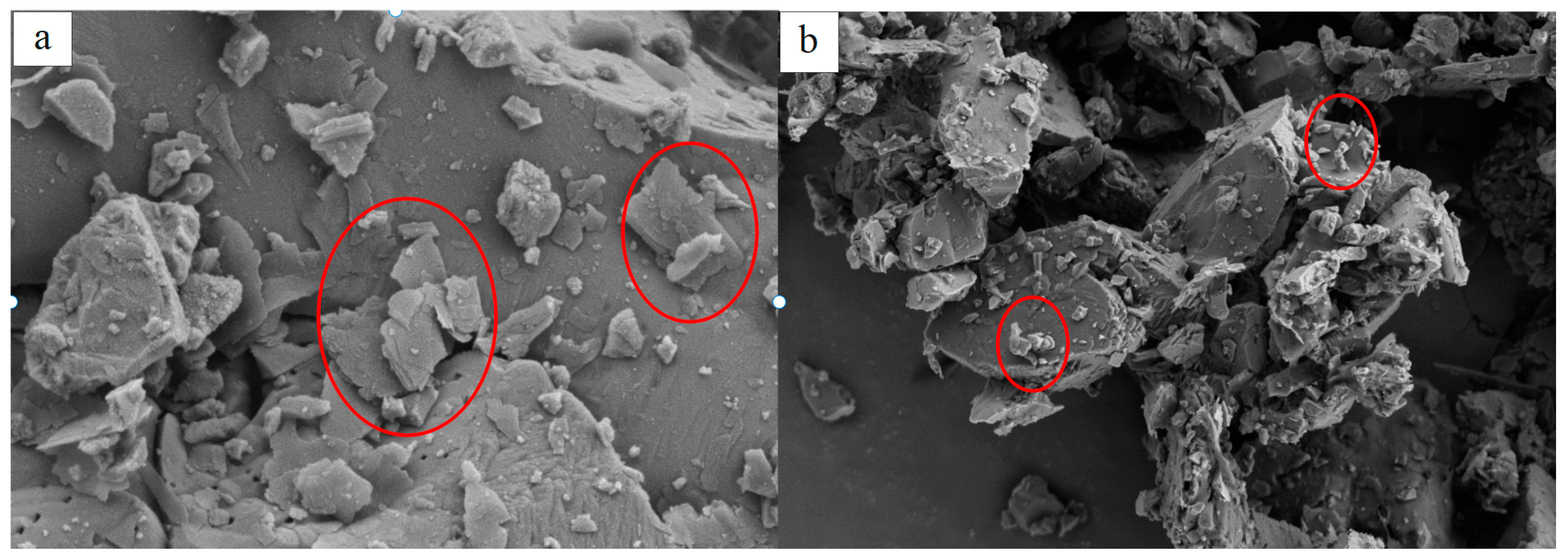 Preprints 81819 g012