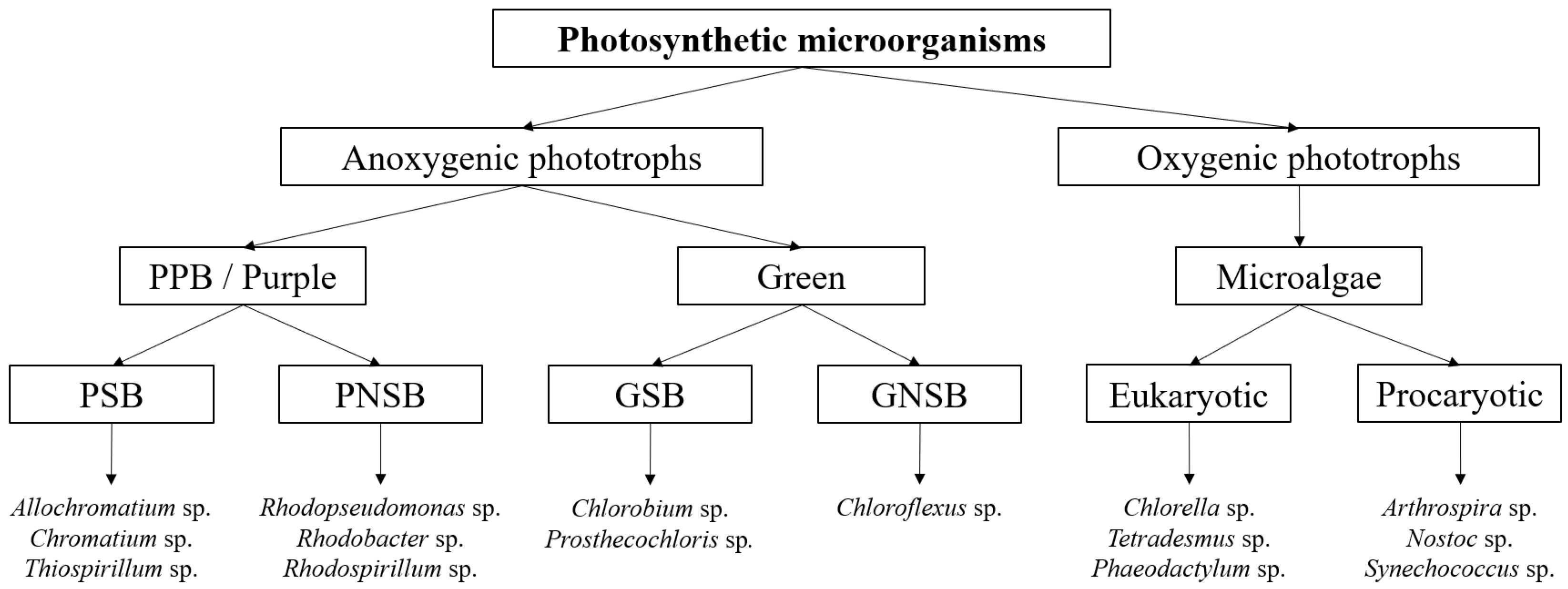 Preprints 67541 g001