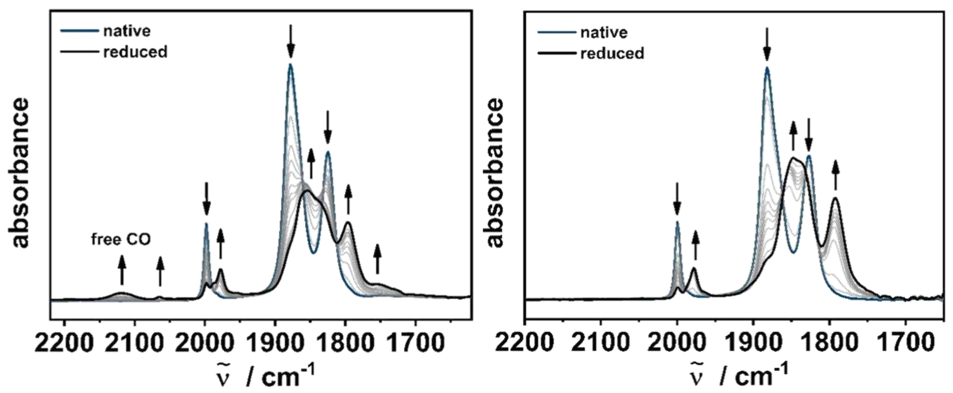 Preprints 91364 g004