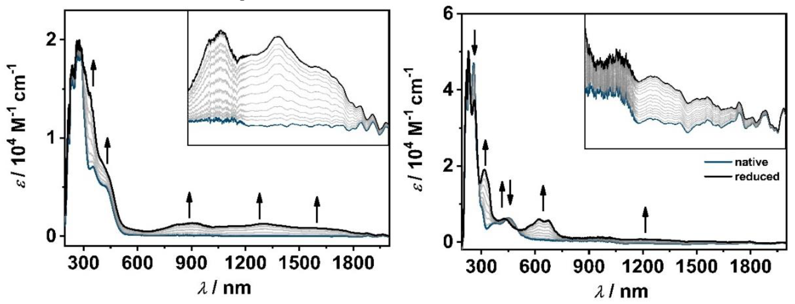 Preprints 91364 g005