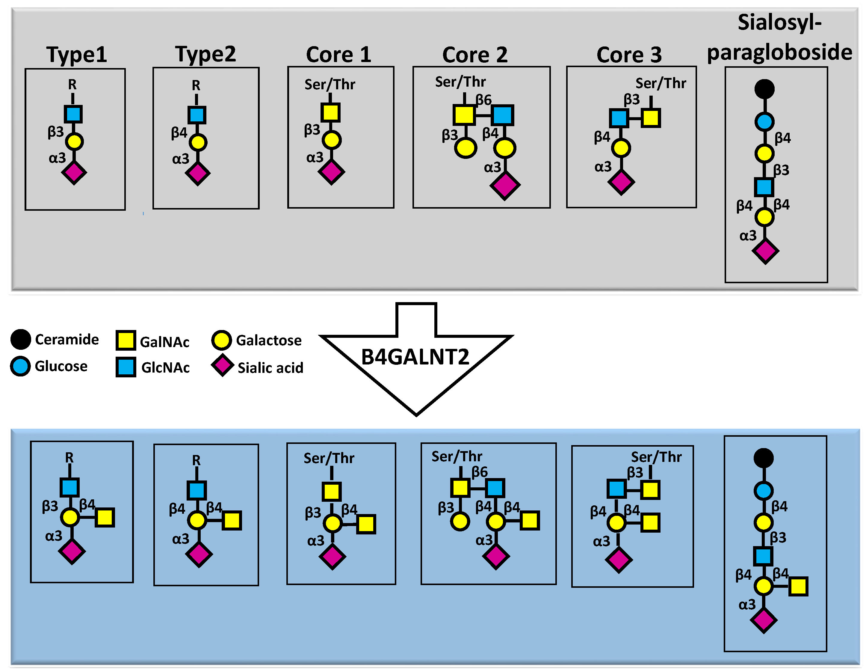 Preprints 100207 g001