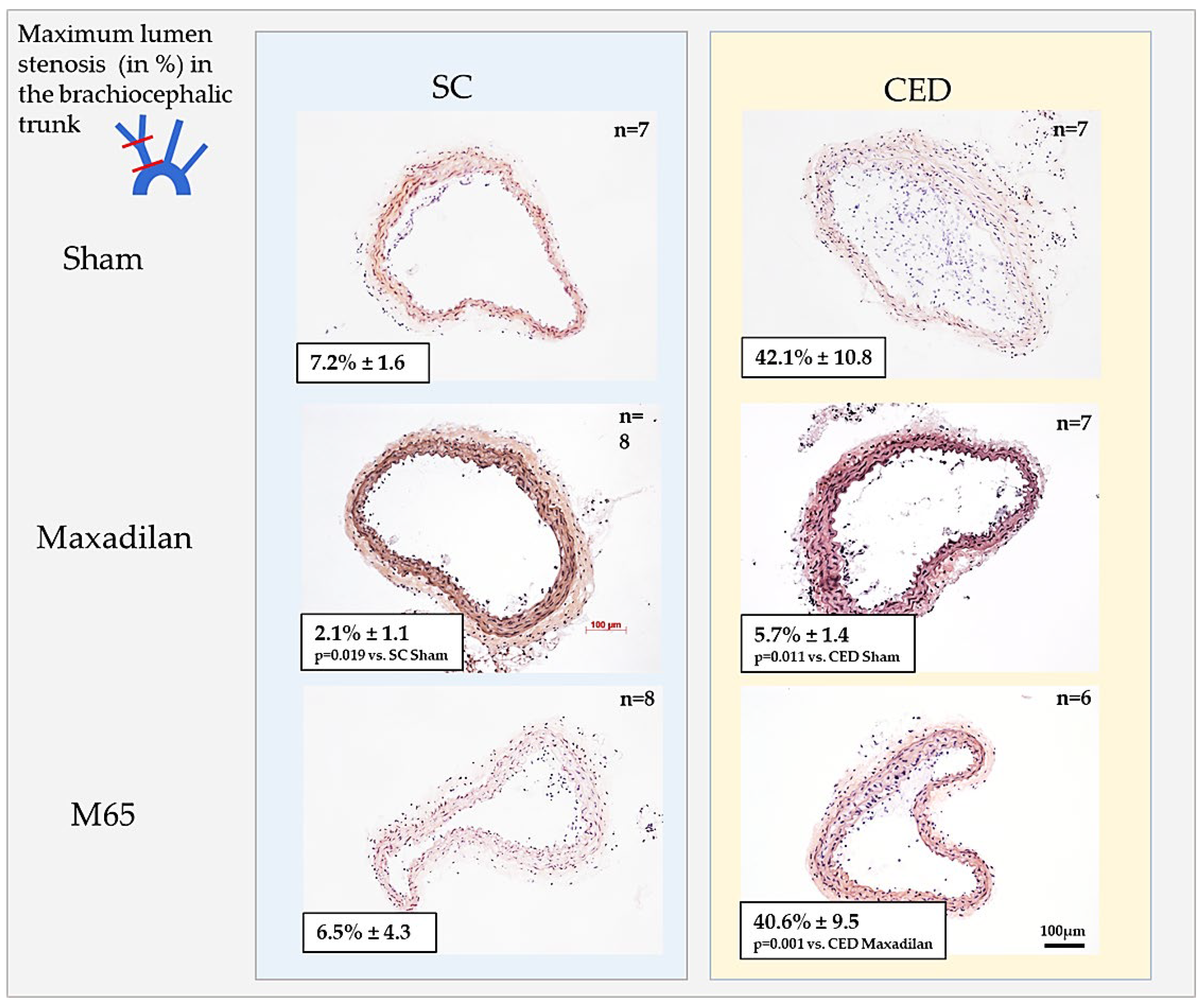 Preprints 120883 g002