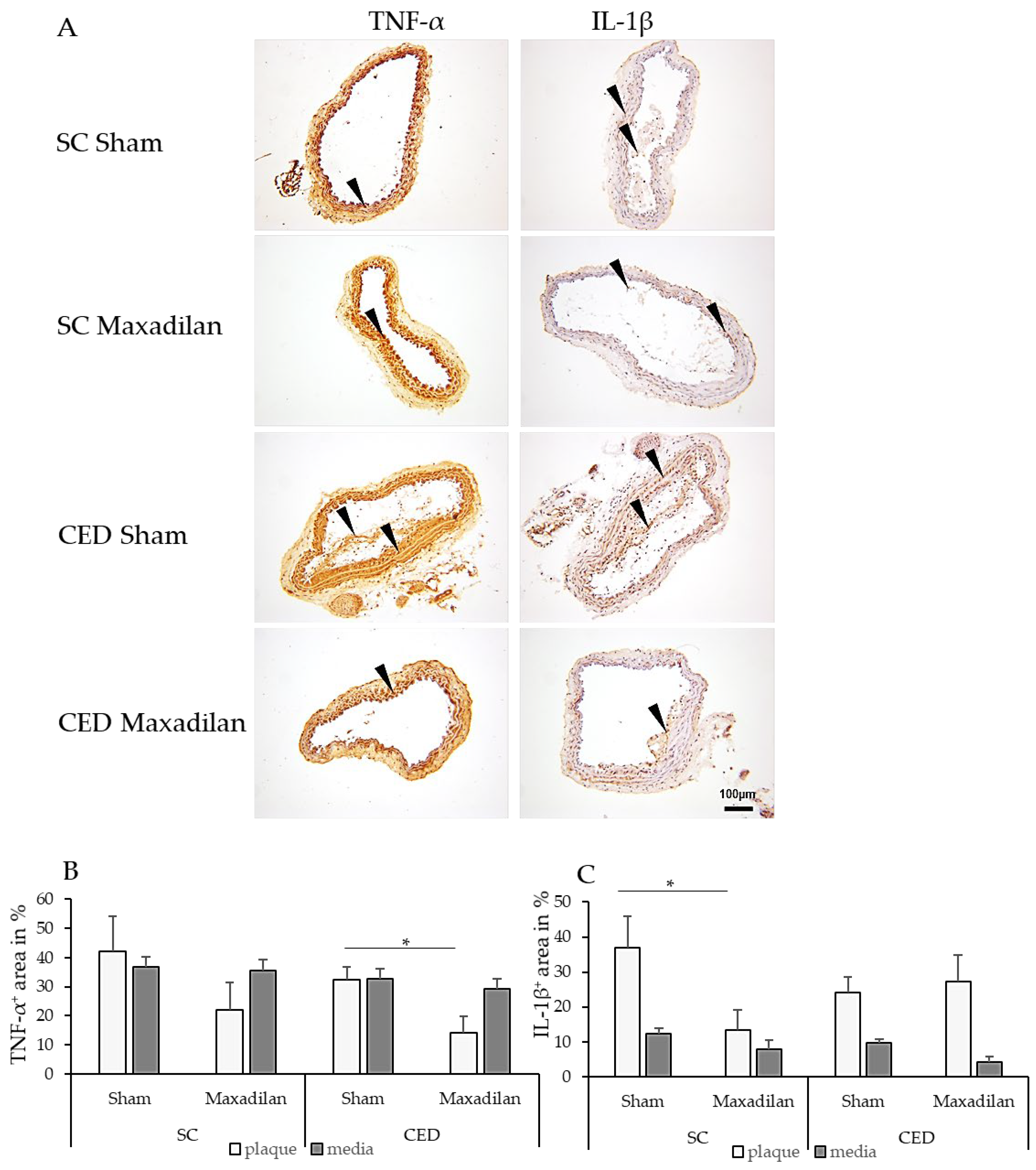 Preprints 120883 g003