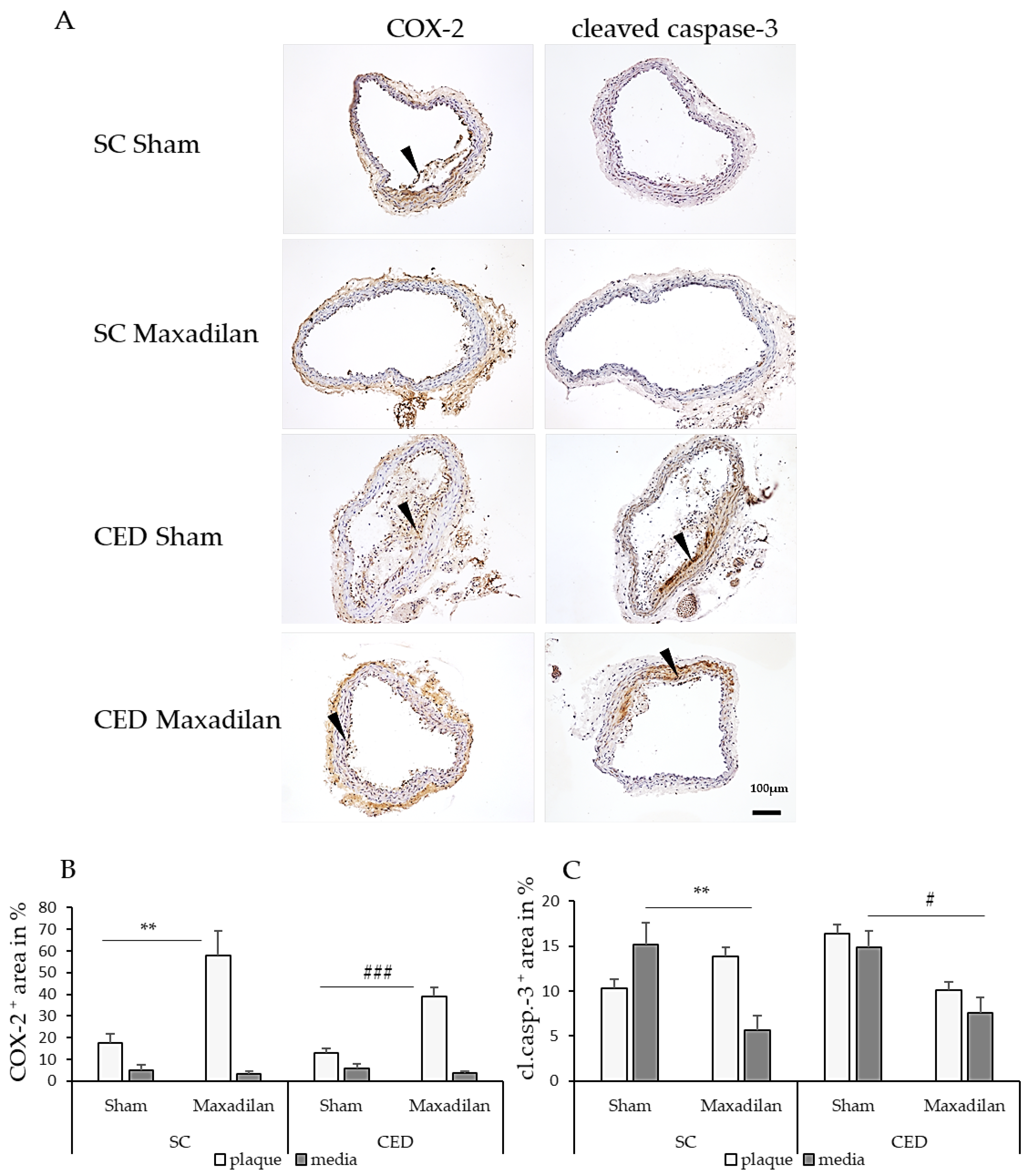 Preprints 120883 g004