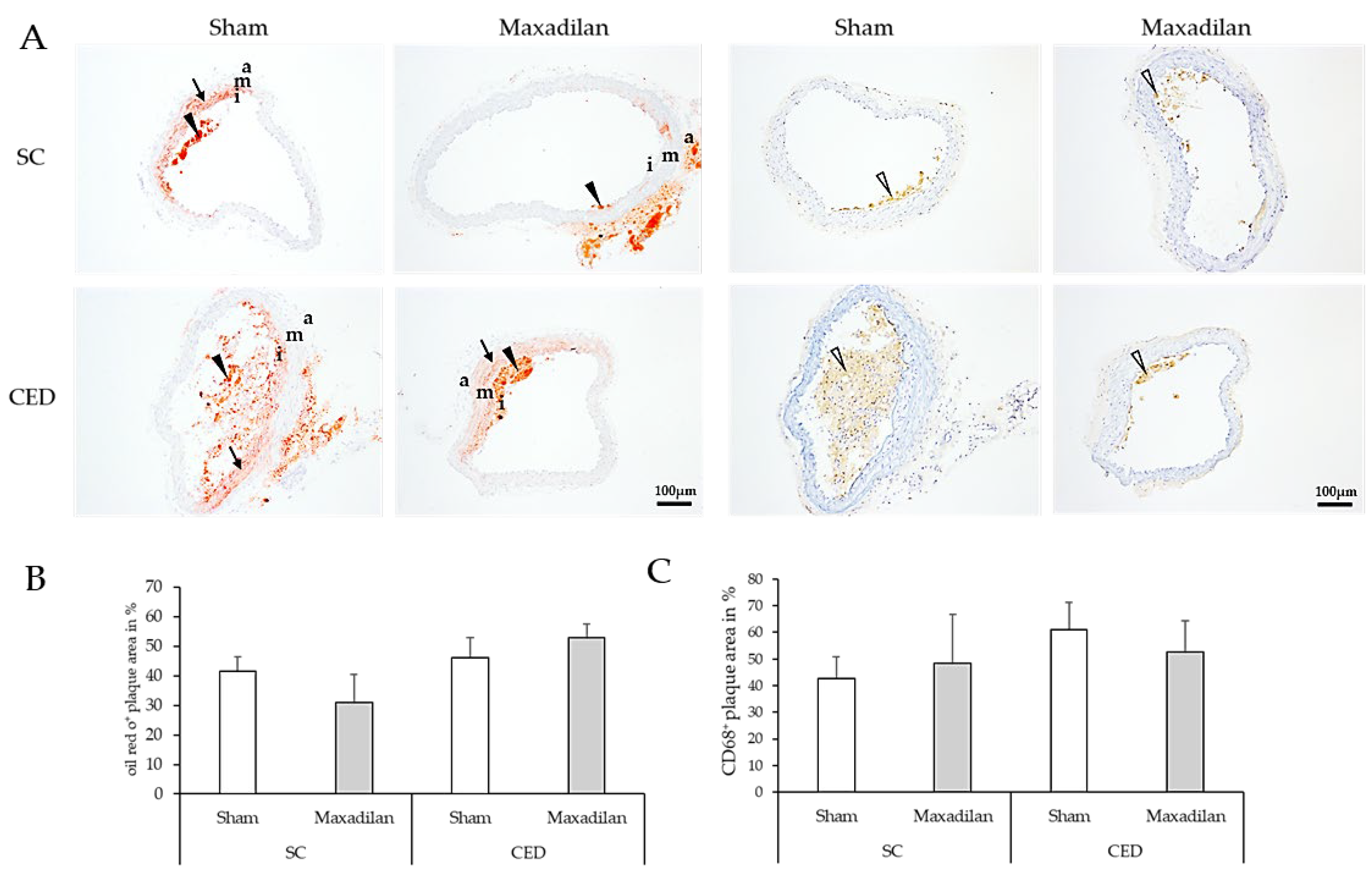 Preprints 120883 g005