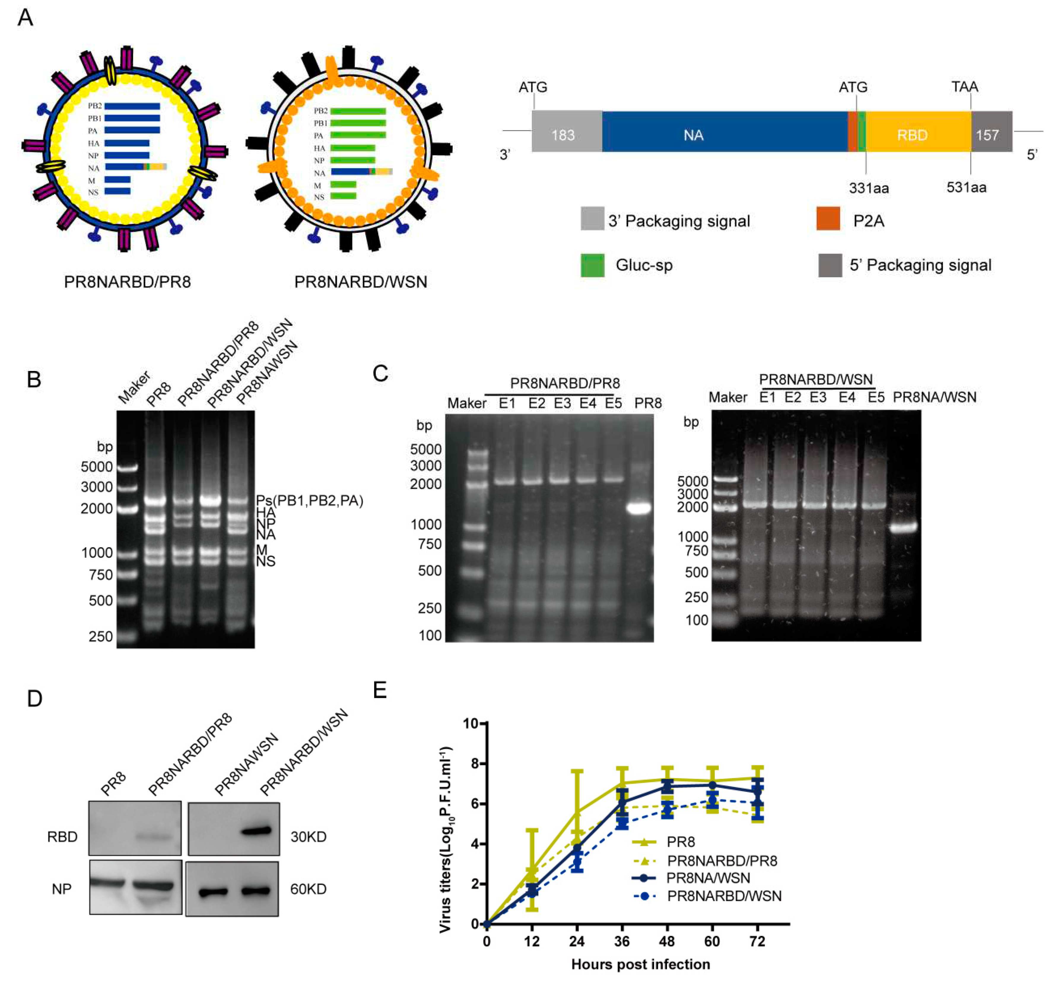 Preprints 81049 g001