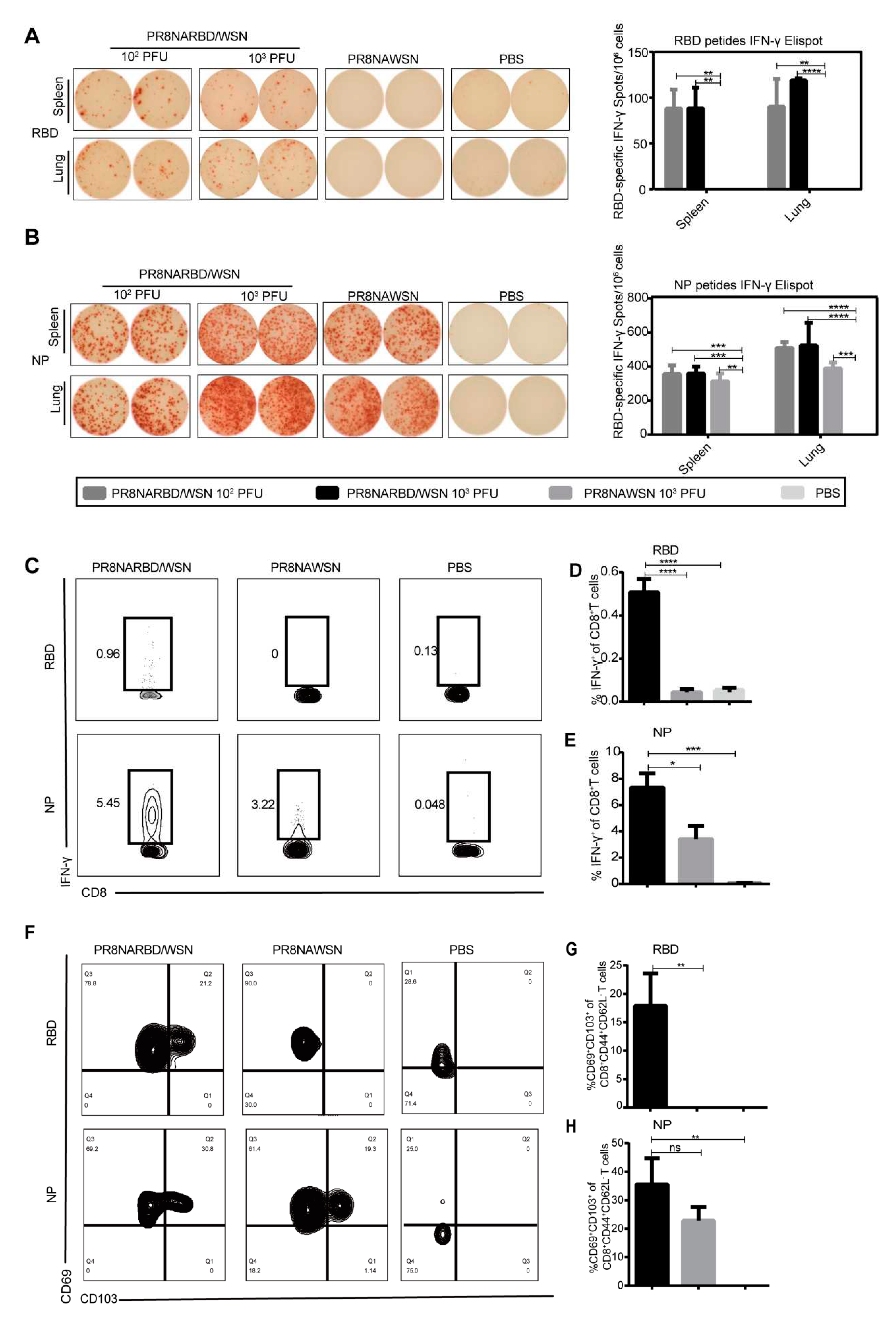 Preprints 81049 g004