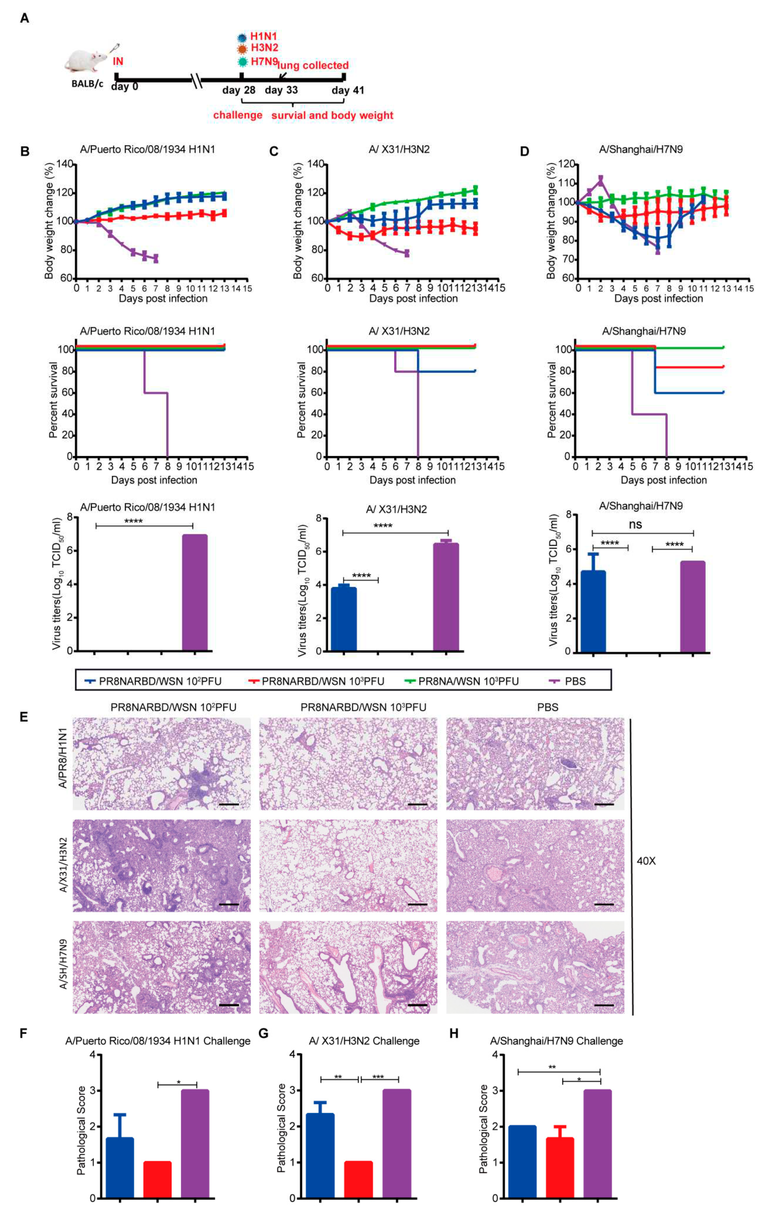 Preprints 81049 g005