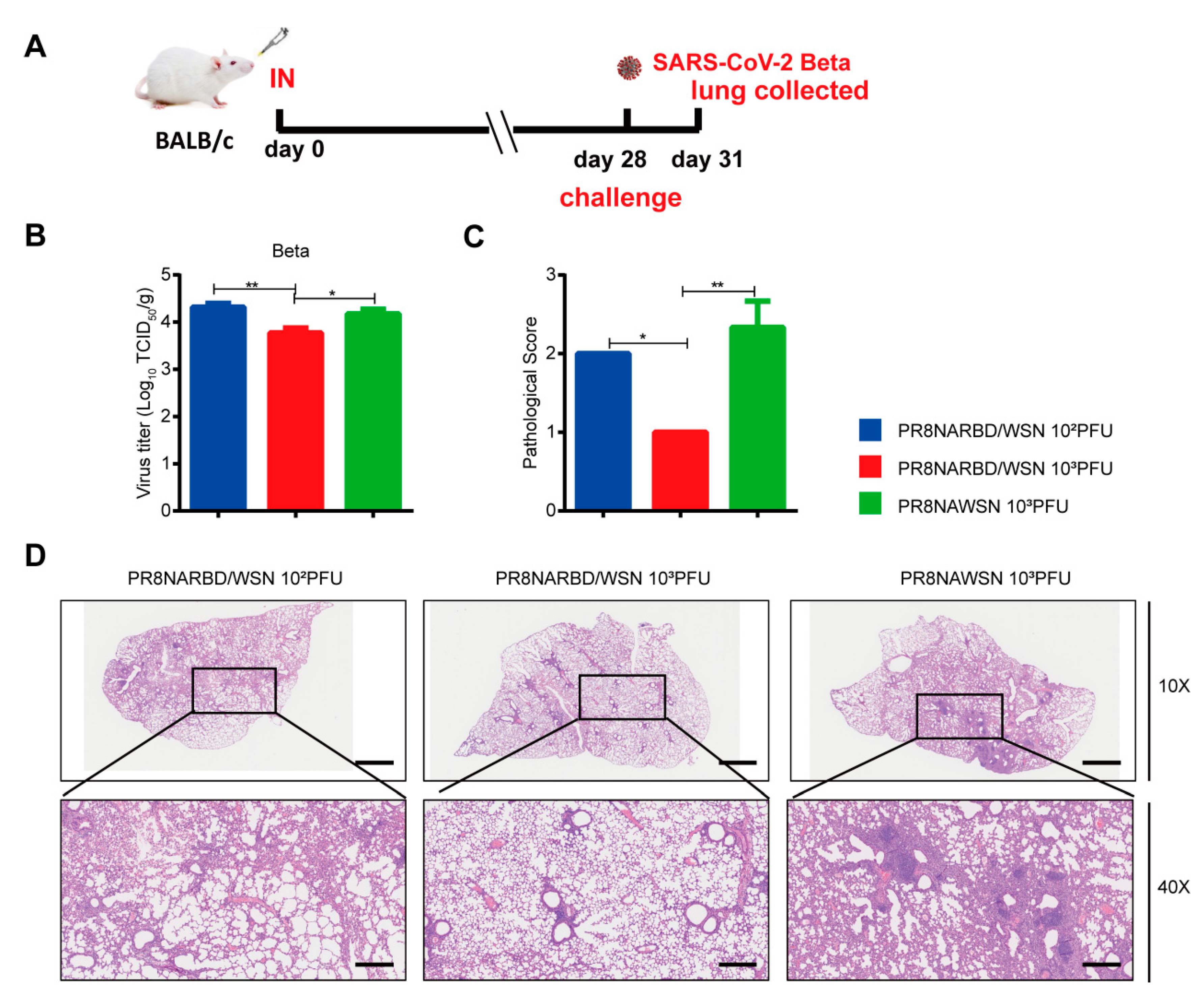 Preprints 81049 g006