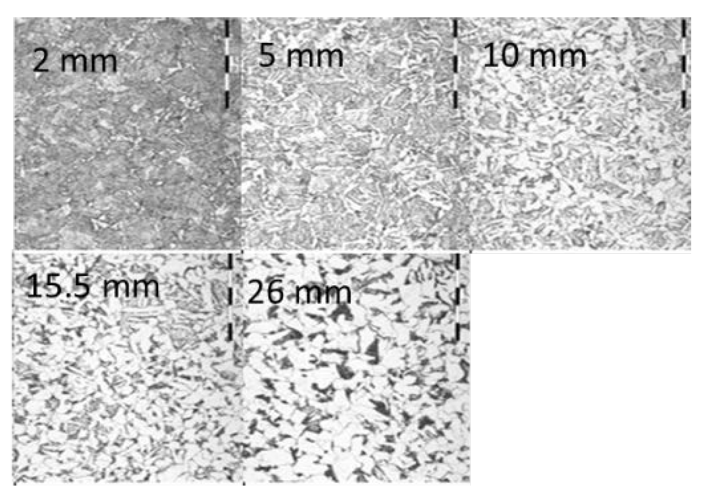 Preprints 73315 g006