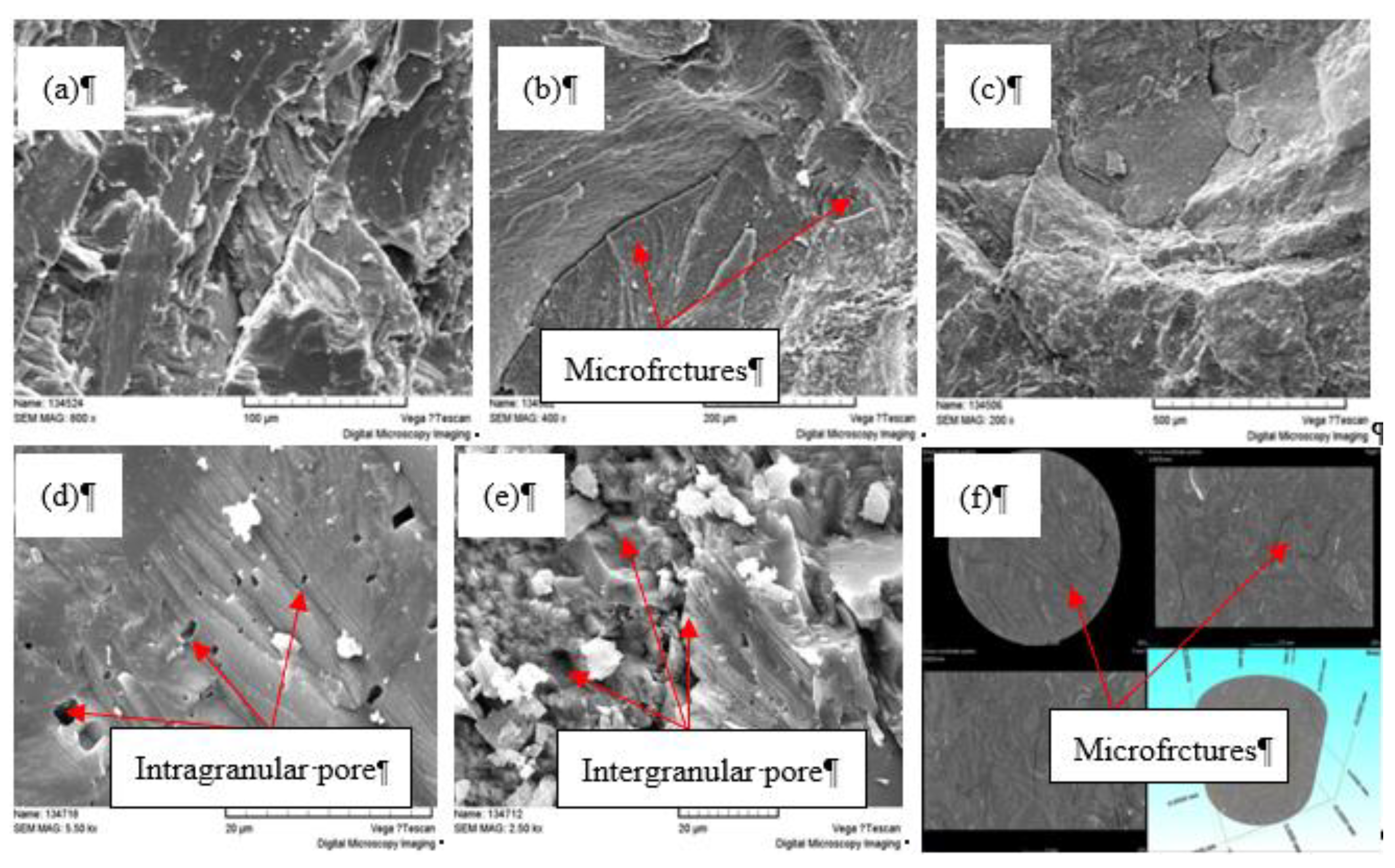 Preprints 107761 g001