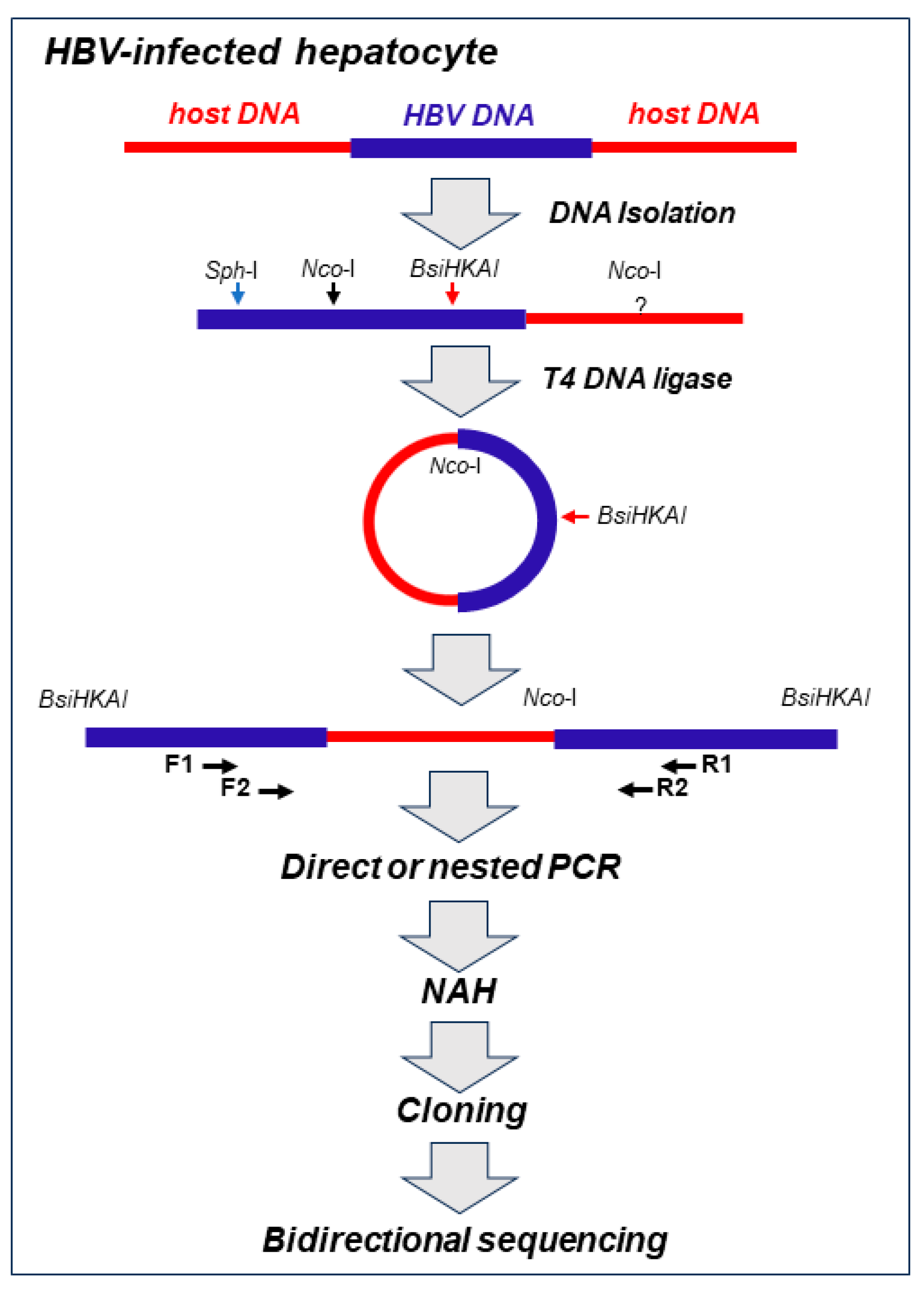 Preprints 83643 g001