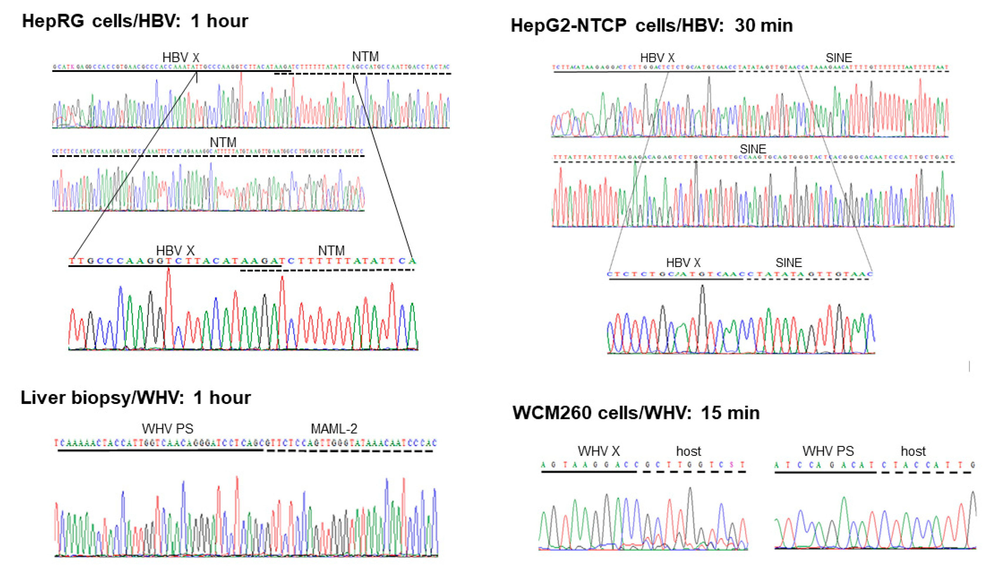 Preprints 83643 g002