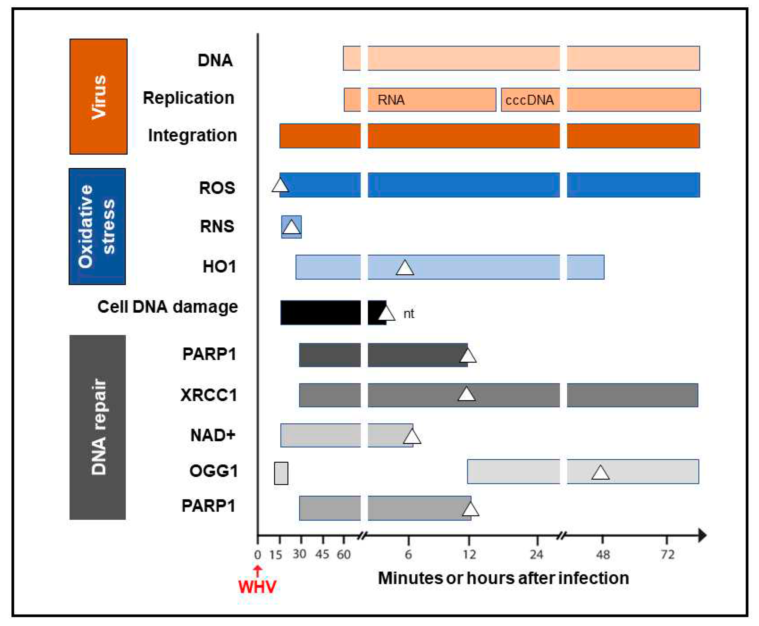 Preprints 83643 g004