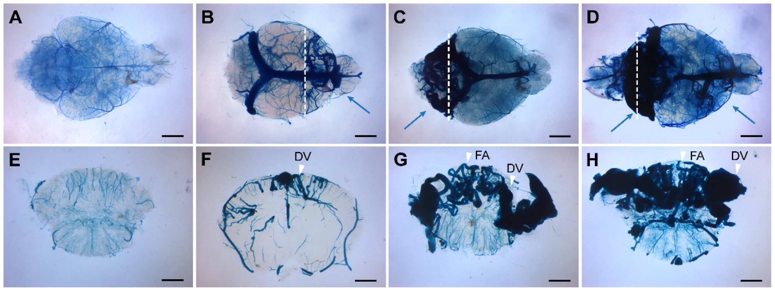 Preprints 87686 g001